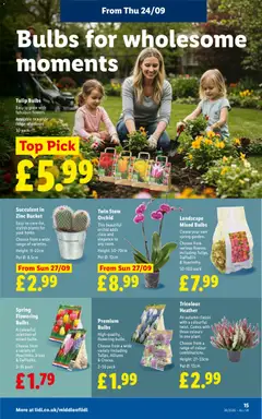 Preview of Weekly offers Lidl valid from 24/09/2026 | Page: 17