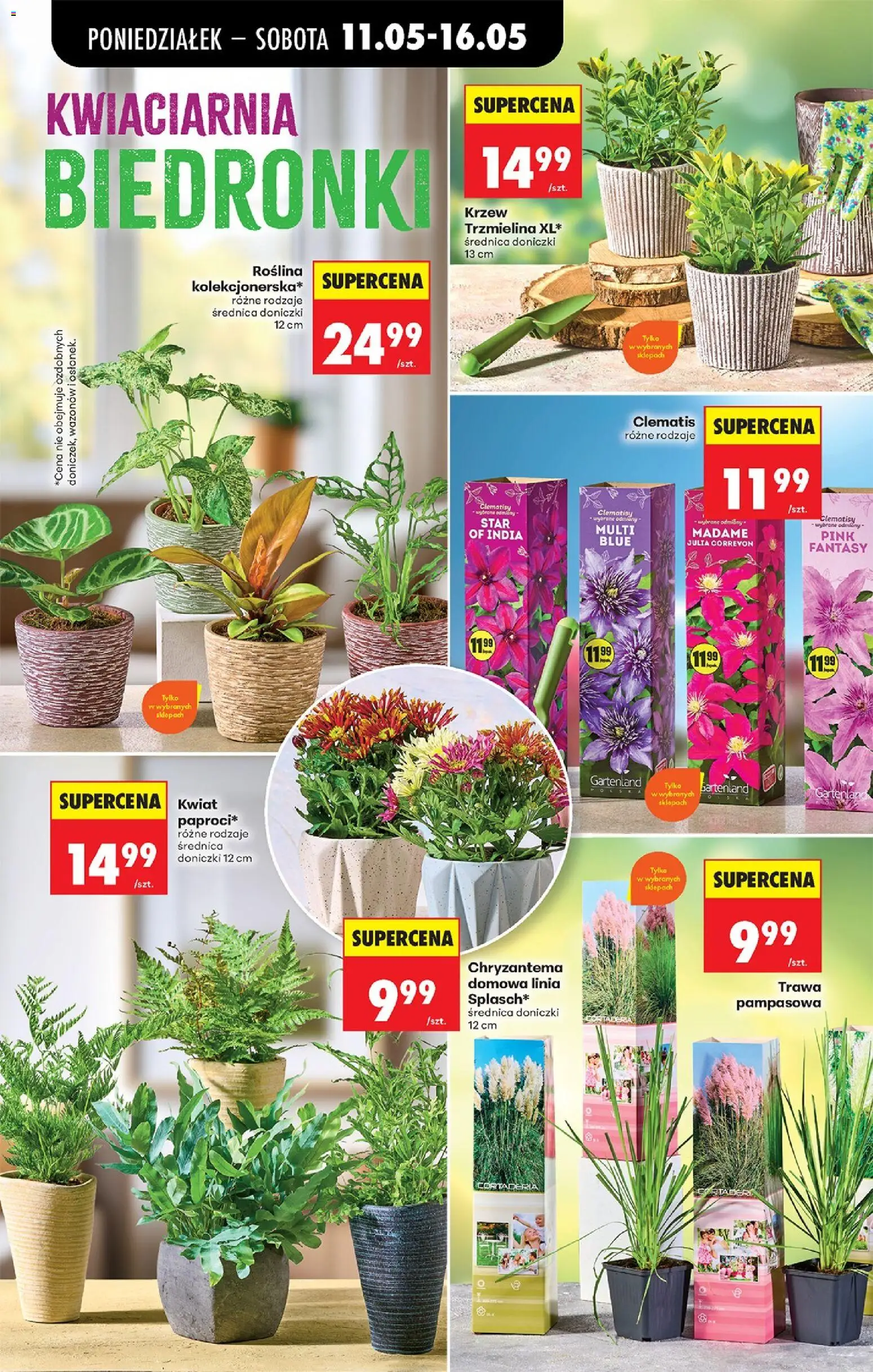 Biedronka Polsko leták od 11.05.2026 | Strana: 40