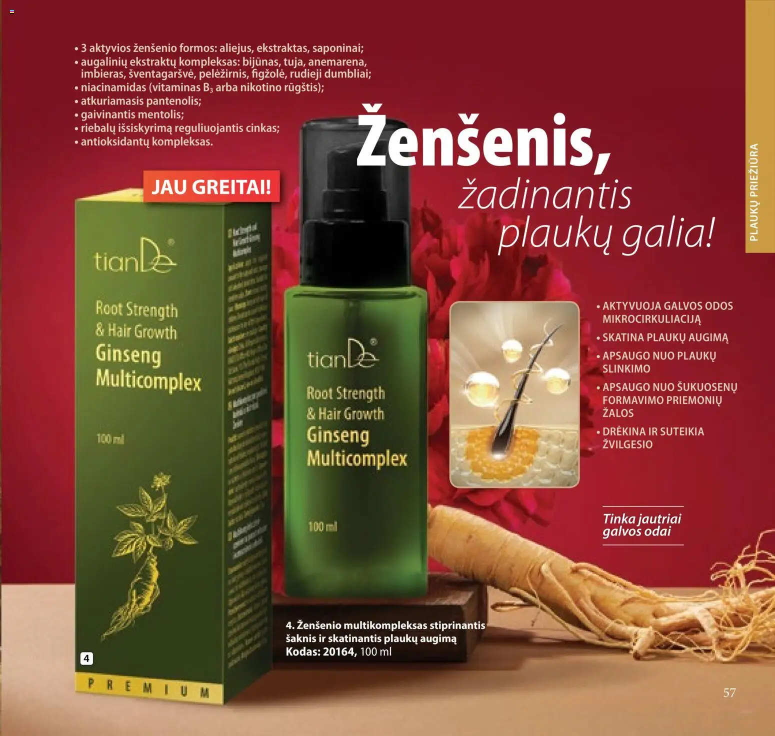 TianDe akcijos nuo 2026.02.10 | Puslapis: 57
