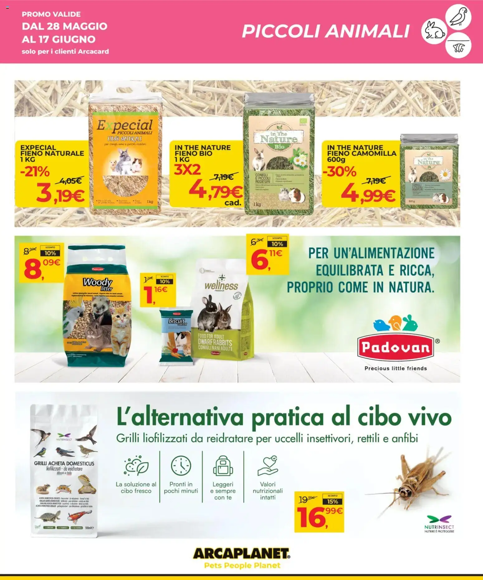 Volantino Arcaplanet del 28.05.2026 | Pagina: 29 | Prodotti: Tè, The