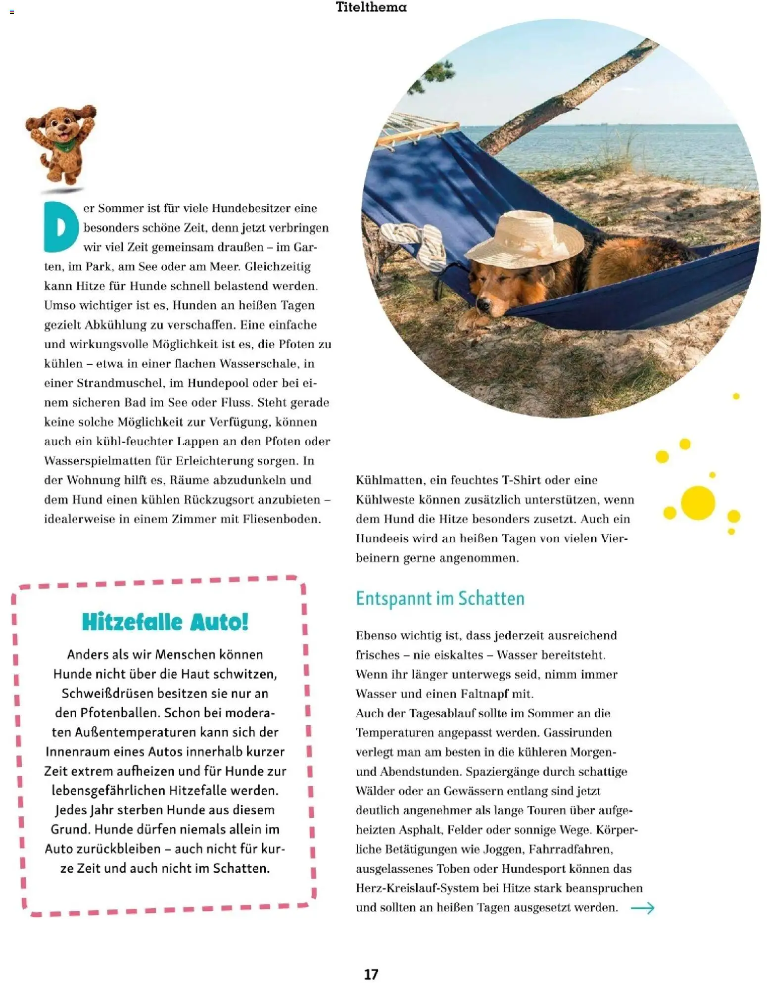 Die besten Angebote | Fressnapf Friends 07,08/26 ab 01.07.2026 | - Jetzt stöbern! | Österreich