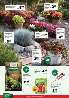 Kalia katalog akcije – veljaven od 31.08.2026 | Stran: 2 | Izdelki: Žemlja, Cvetje