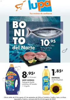 Vista previa Lupa Supermercados folleto válido desde el 20/08/2026