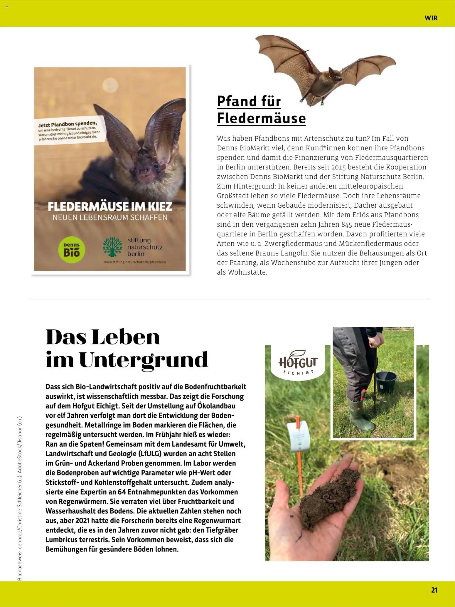 Denns BioMarkt Kreo Magazin – gültig ab 17.07.2026 | Seite: 21