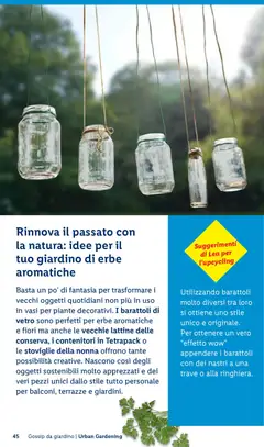 Anteprima del volantino Lidl volantino Giardinaggio valido a partire dal 23.04.2026 | Pagina: 45 | Prodotti: Barattoli