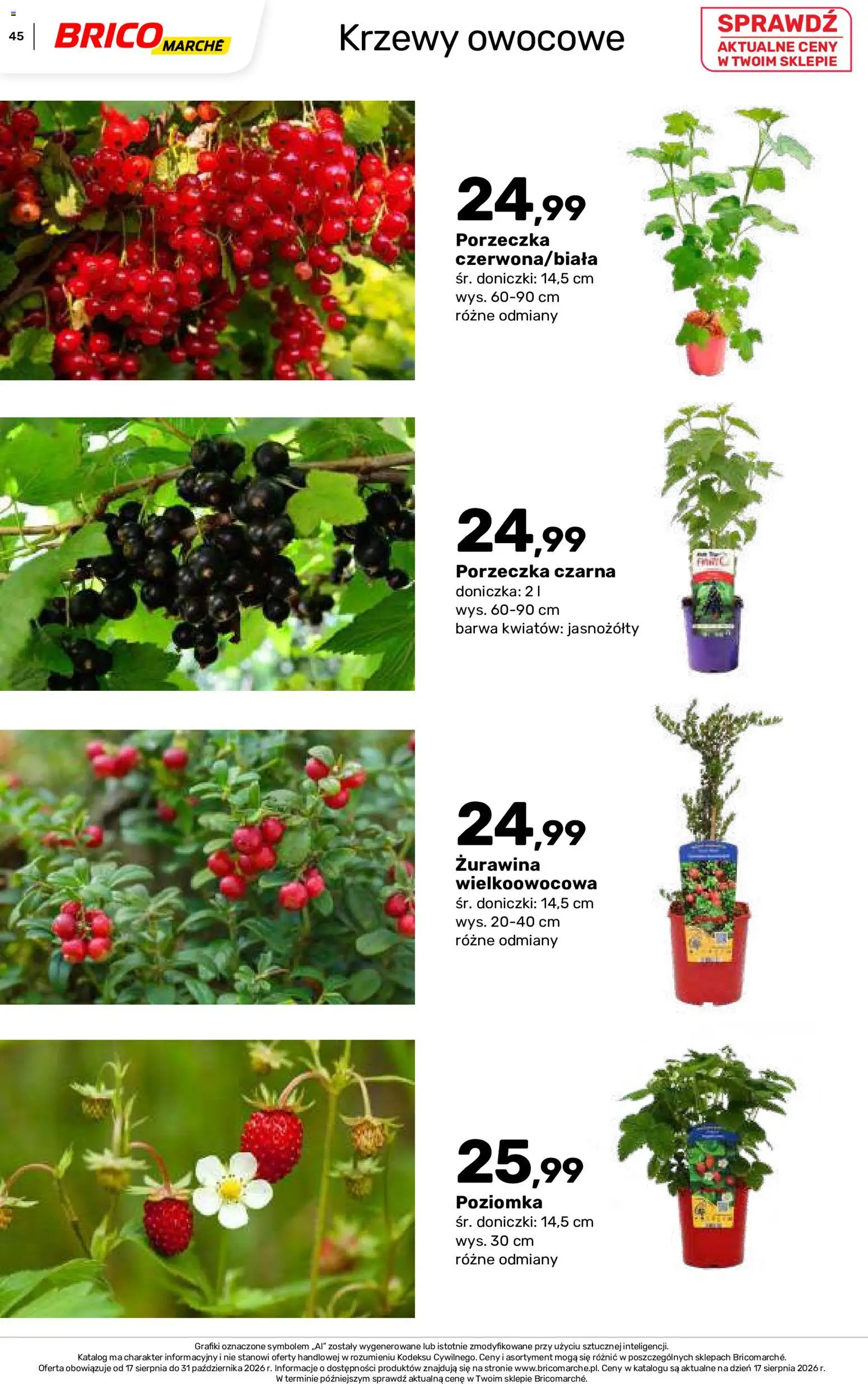 Brico Marché gazetka - Jesienne Inspiracje od 17.08.2026 | Strona: 45 | Produkty: Krzewy owocowe, Porzeczka, Żurawina, Doniczki