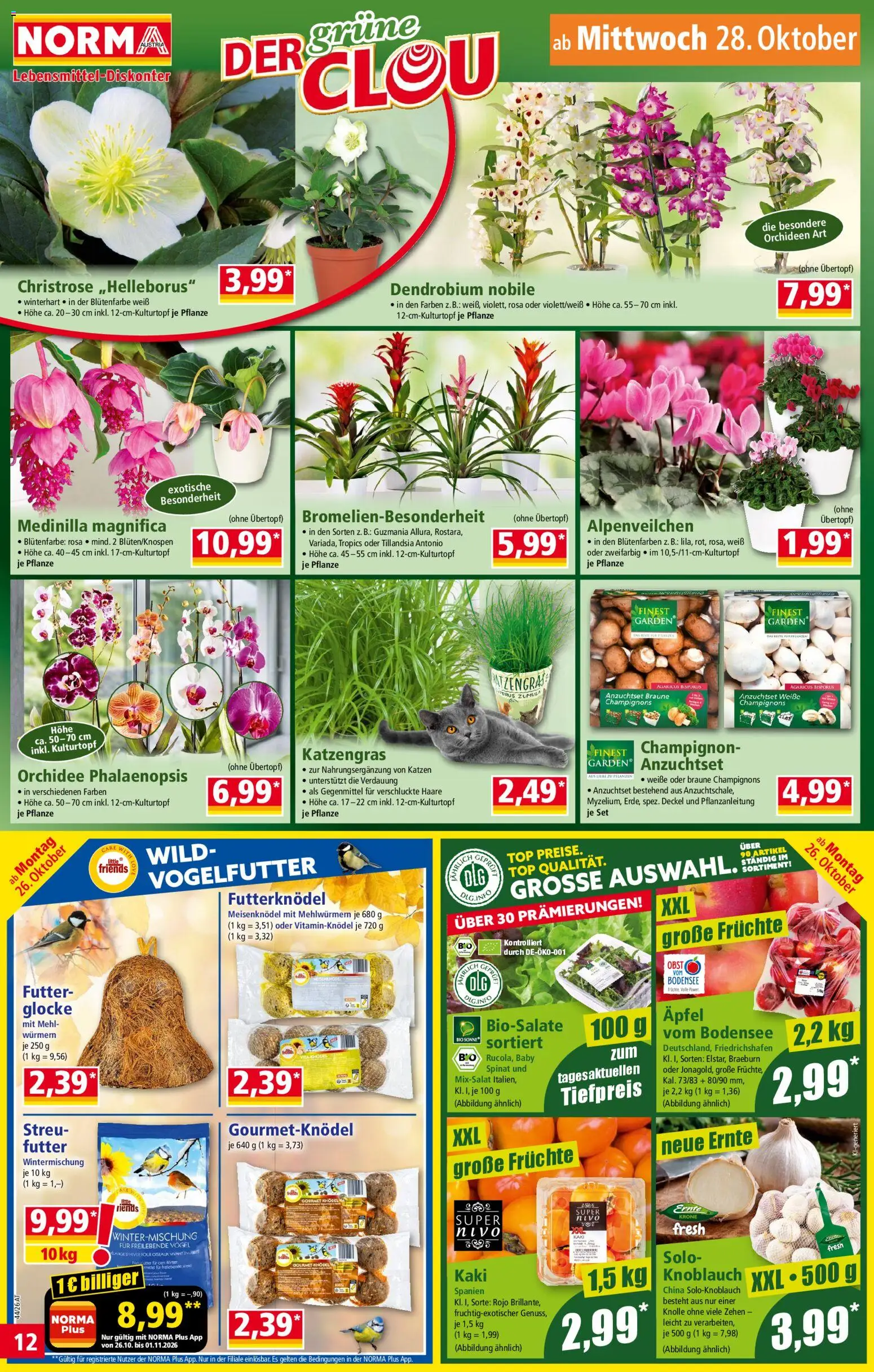 Norma Flugblatt gültig ab 26.10.2026 | Seite: 12 | Produkte: Obst, Knoblauch, Kaki, Äpfel