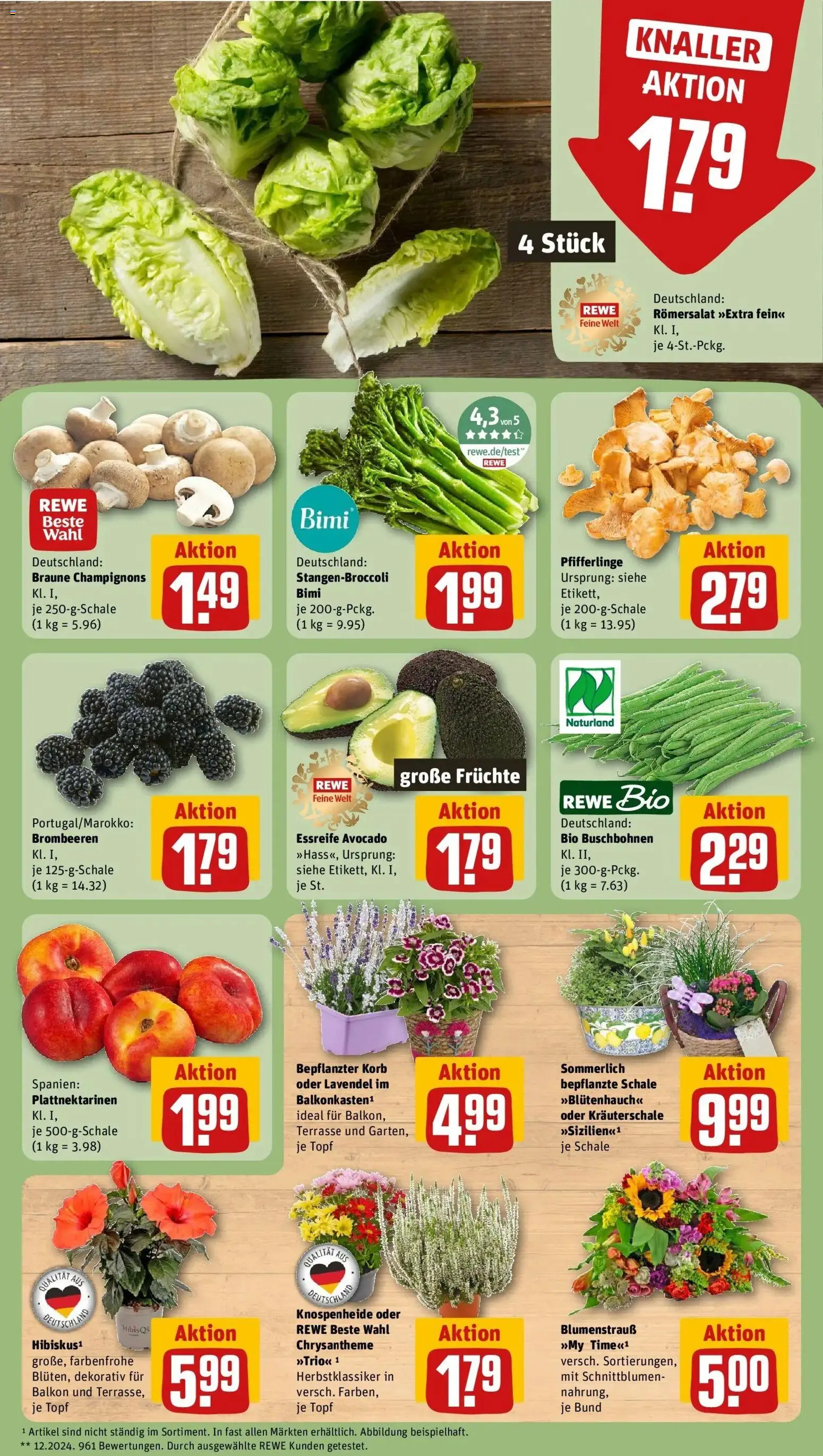 REWE Prospekt ab 17.08.2026 zum Blättern » Angebote | Seite: 9 | Produkte: Korb, Champignons, Pfifferlinge, Lavendel