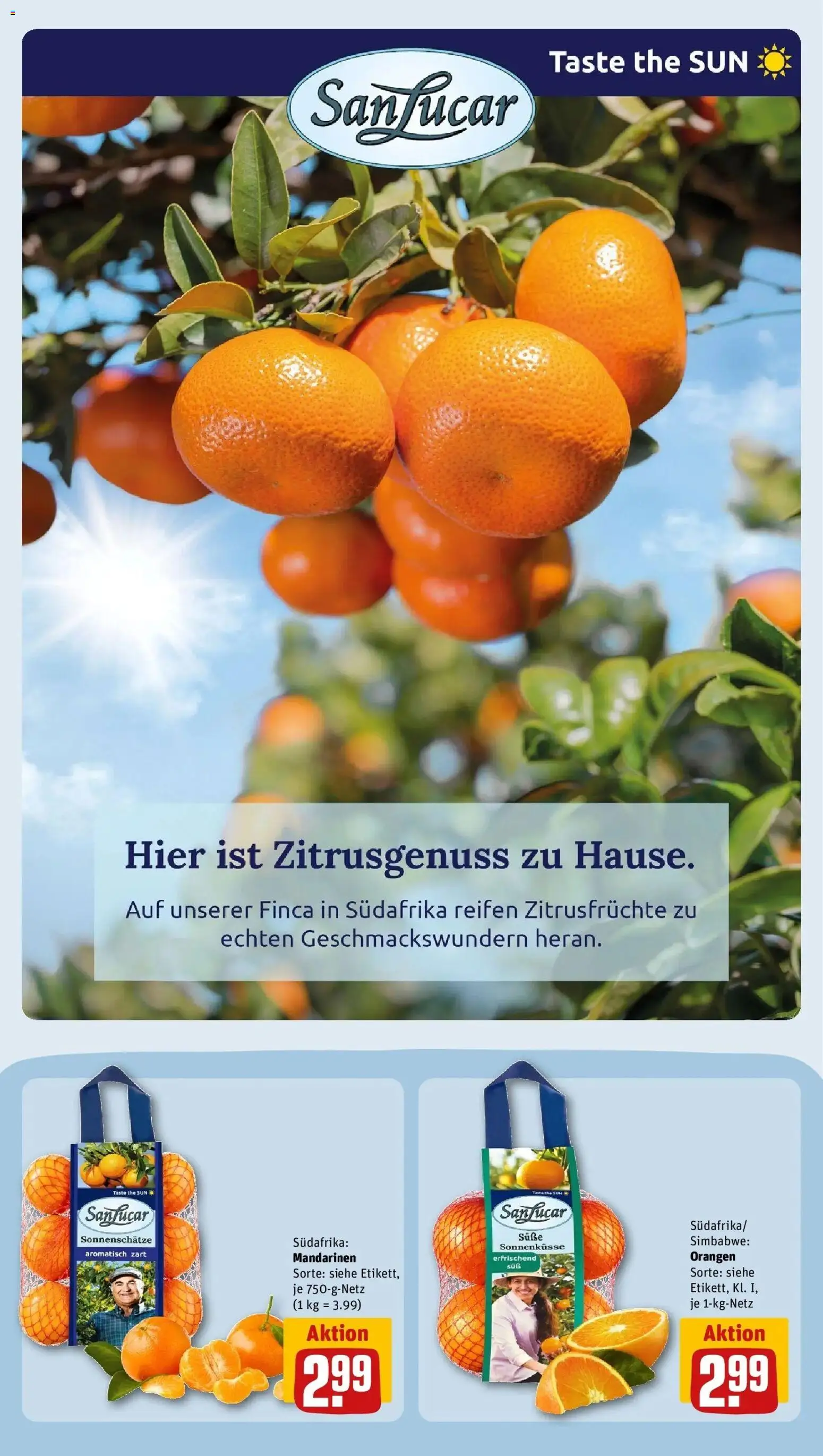 REWE Prospekt ab 28.09.2026 zum Blättern » Angebote | Seite: 15 | Produkte: Mandarinen, Orangen