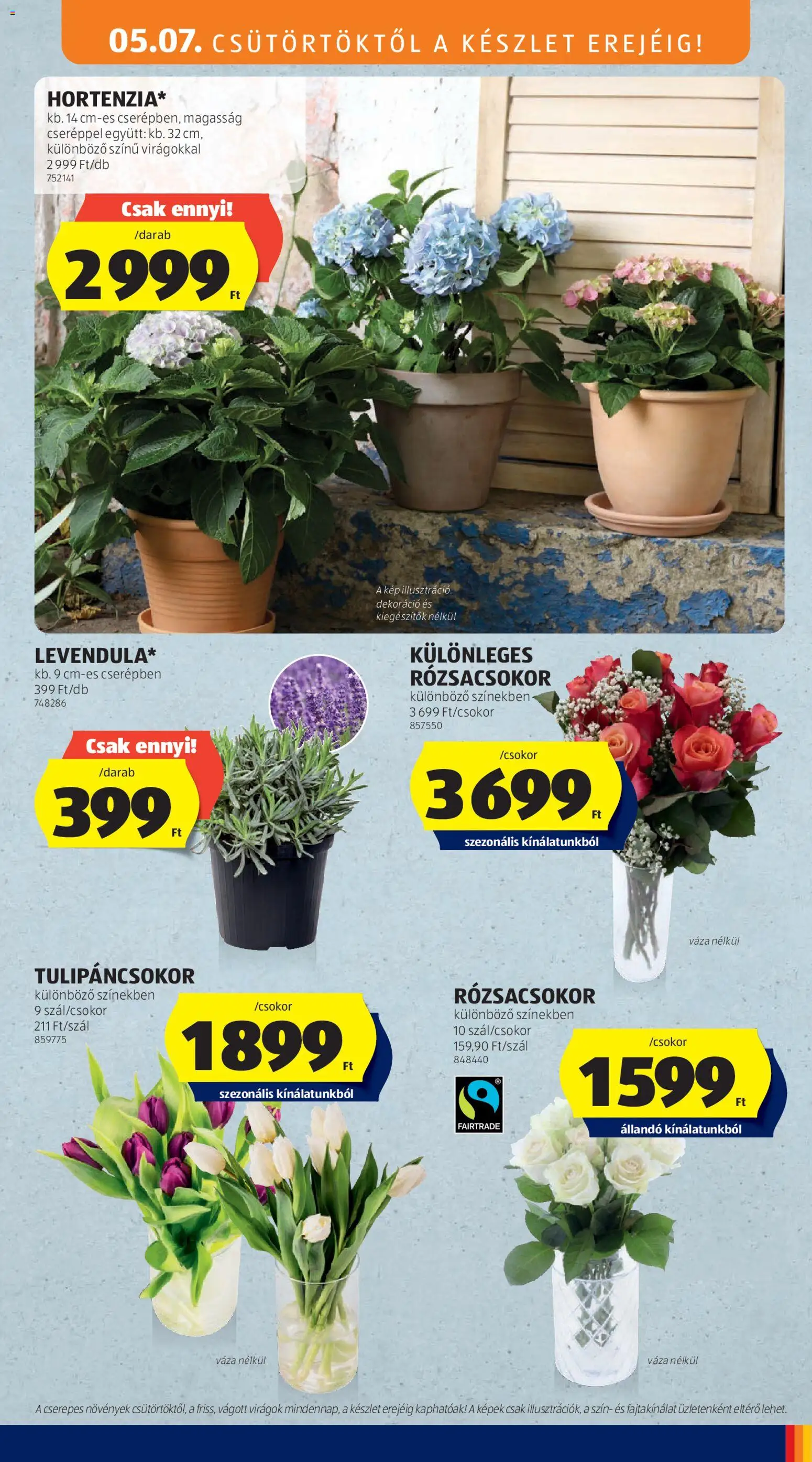 Aldi akciós ujság - amely érvényes a következő dátumtól: 07.05.2026 | Oldal: 5 | Termékek: Virágok, Váza, Dekoráció