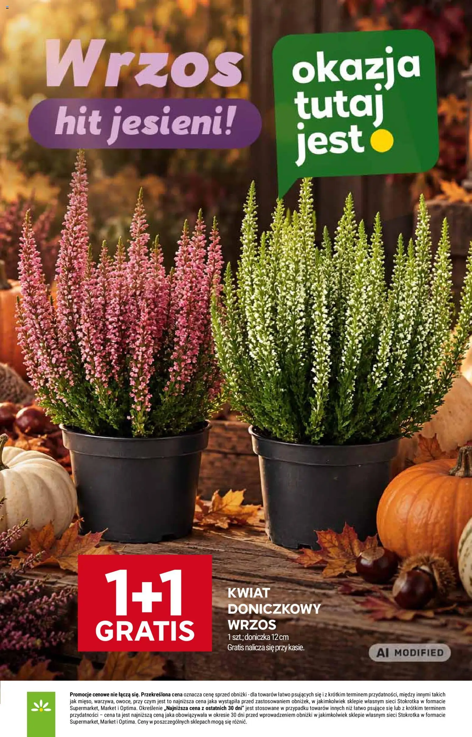 Stokrotka gazetka od 17.09.2026 | Strona: 37