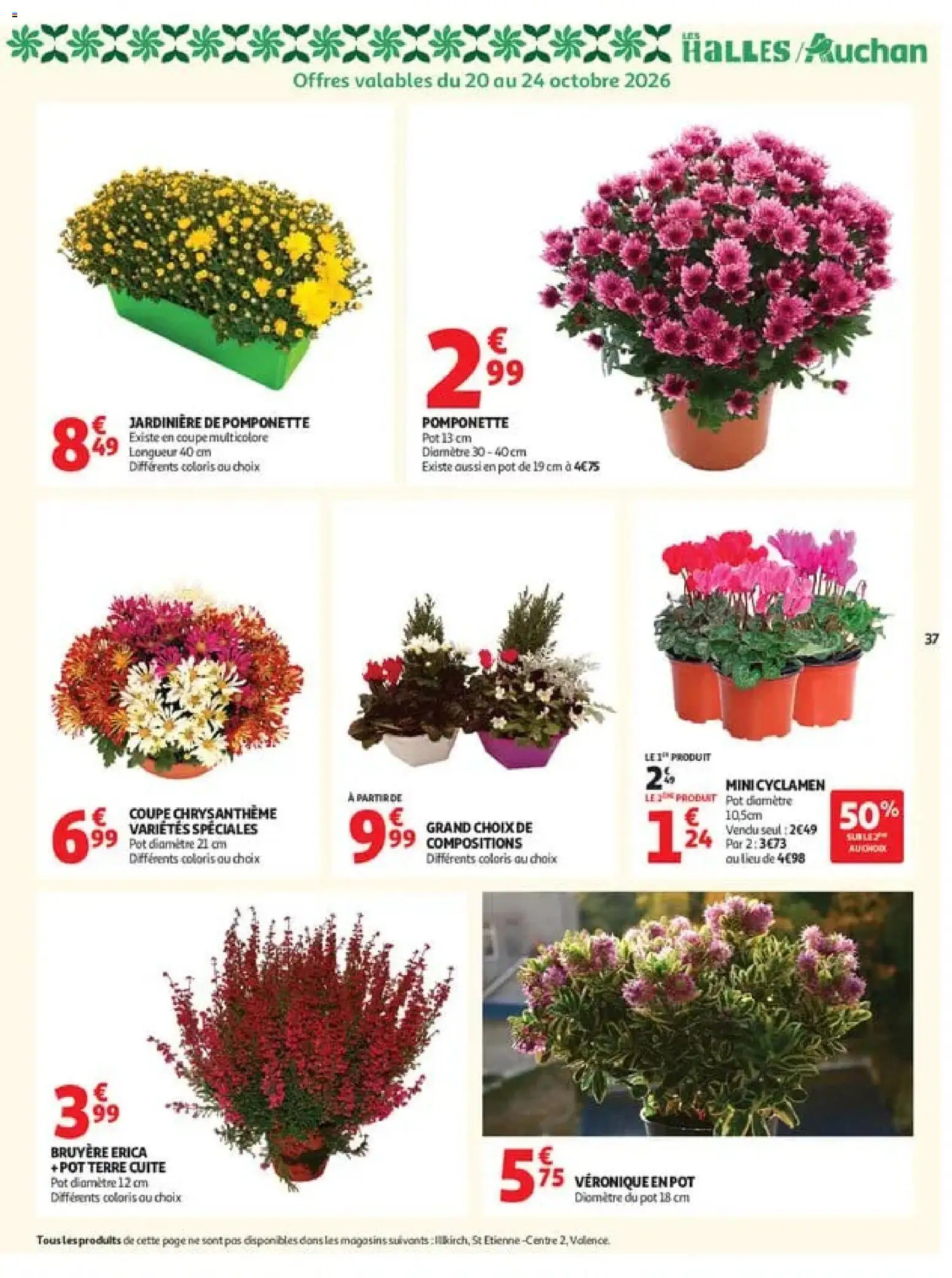 {H1} | Page: 37 | Produits: Bruyère, Jardinière, Cyclamen, Chrysanthème
