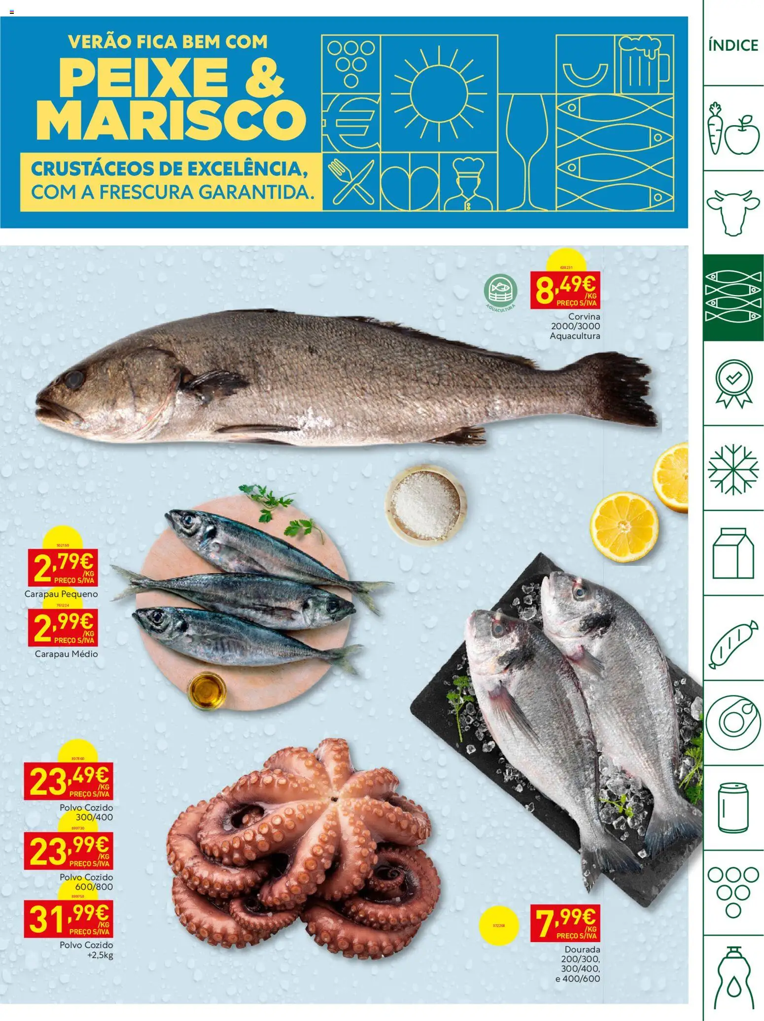 Recheio Horeca │ válido de 11/08/2026 | Página: 7 | Produtos: Dourada, Polvo, Peixe