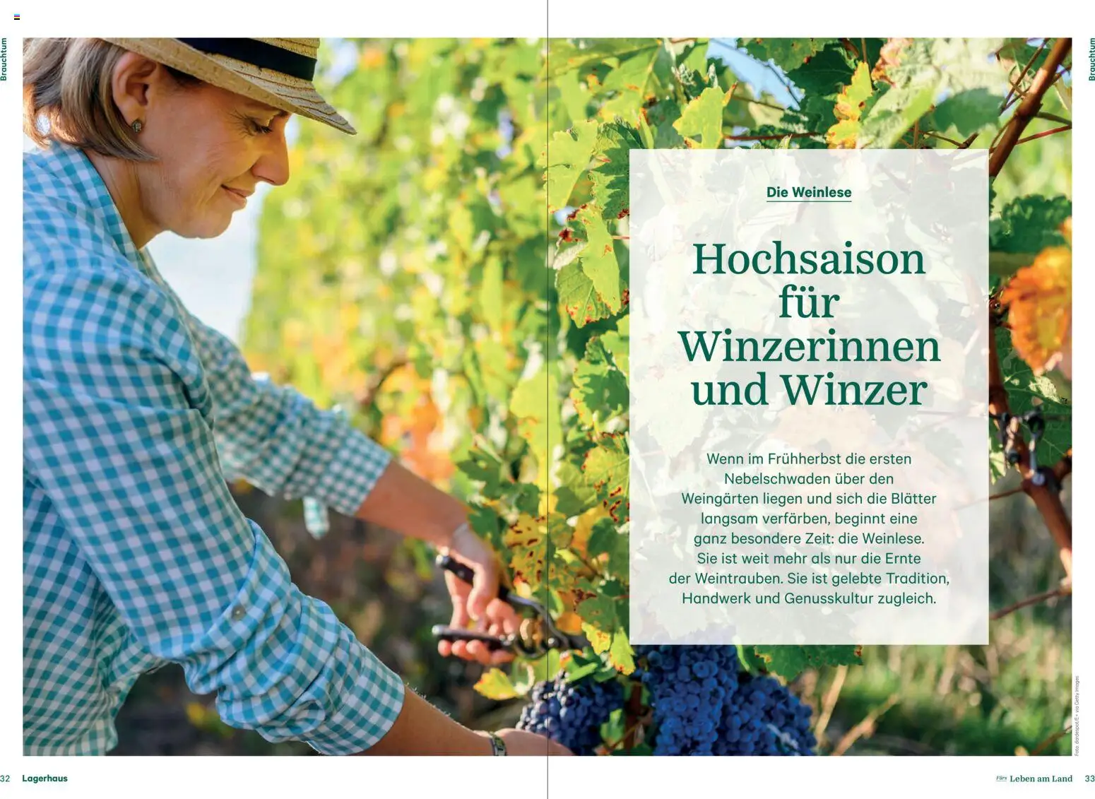 Lagerhaus Fürs Leben am Land Herbst 2026 gültig ab 01.08.2026 | Seite: 17