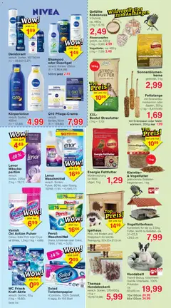 Wiglo Wunderland Prospekt ab 14.09.2026 gültig | Seite: 4 | Produkte: Duschgel, Deodorant, Wc frisch, Körperlotion