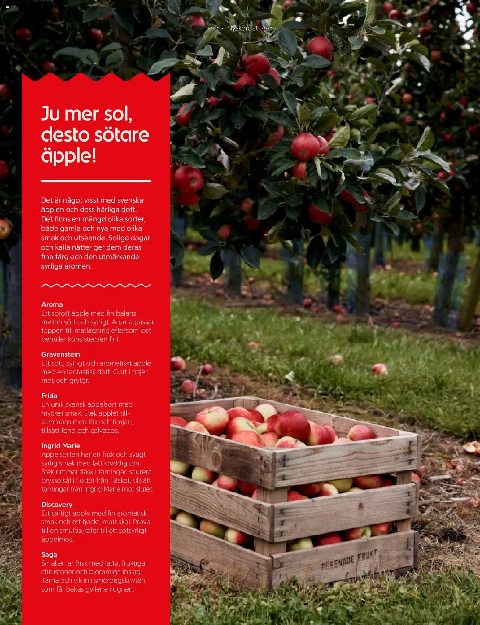 ICA Kvantum reklamblad aktuell från 01/09/2026 | Sida: 4 | Produkter: Stek, Fond, Fläsk, Äpplen