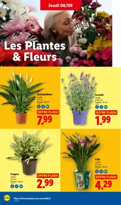 LIDL - Prévisualisation de LIDL catalogue valide à partir de 06/08/2026 | Page: 32