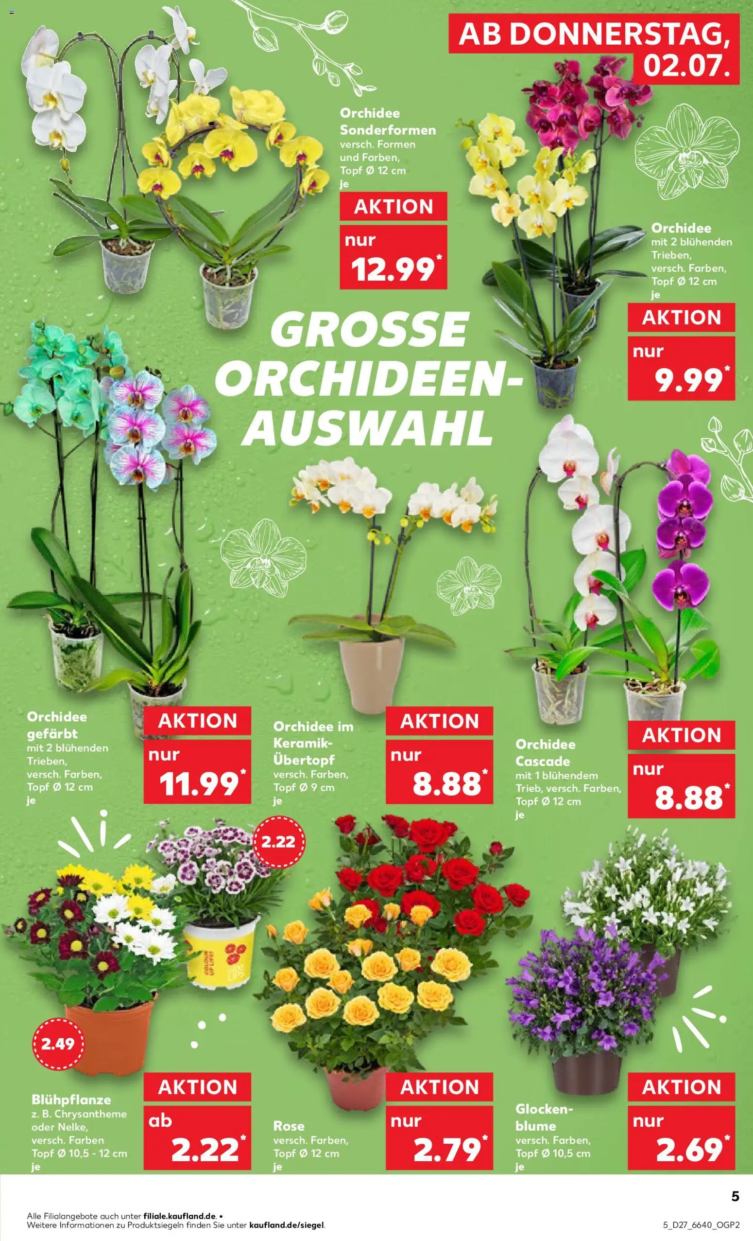 Kaufland Prospekt Stuttgart – gültig ab 02.07.2026 | Seite: 5 | Produkte: Orchidee