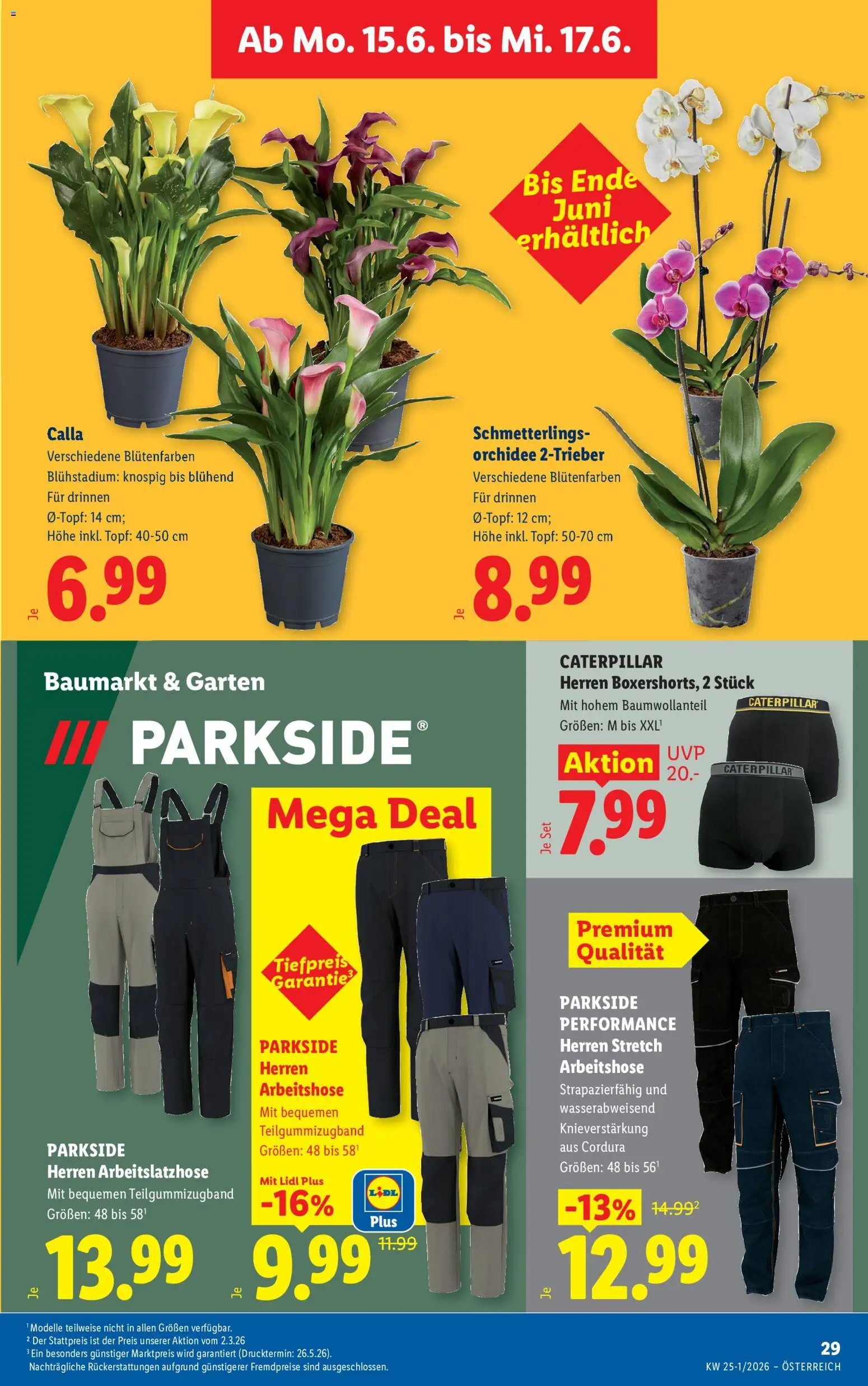 Lidl Flugblatt gültig ab 11.06.2026 | Seite: 36