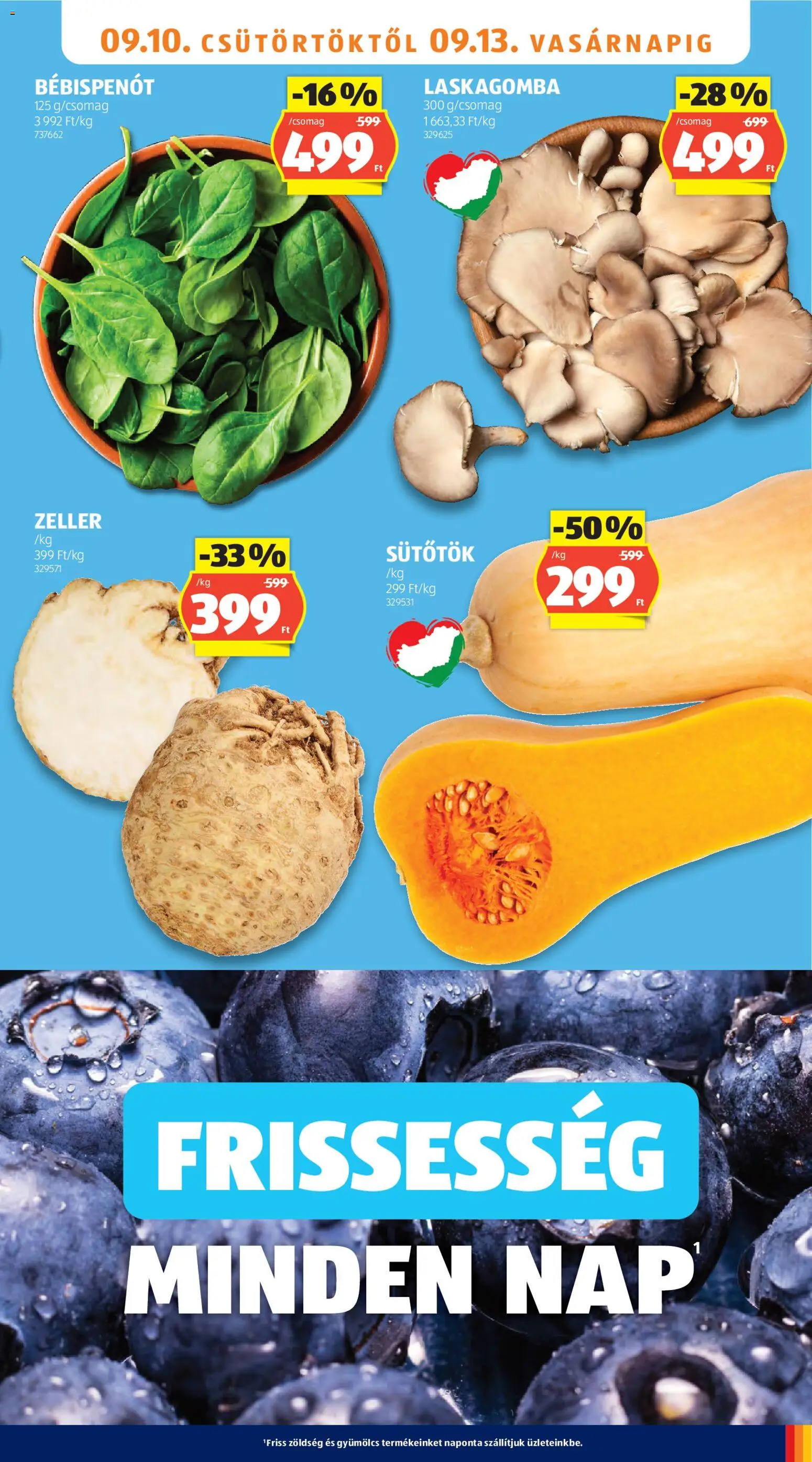 Aldi akciós ujság - amely érvényes a következő dátumtól: 2026.09.10. | Oldal: 9