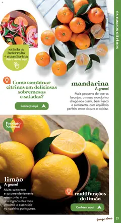 Pré-visualização Pingo Doce - Catálogo Fruta e Legumes válido de 20.05.2025 | Página: 21 | Produtos: Beterraba, Saladas, Salada