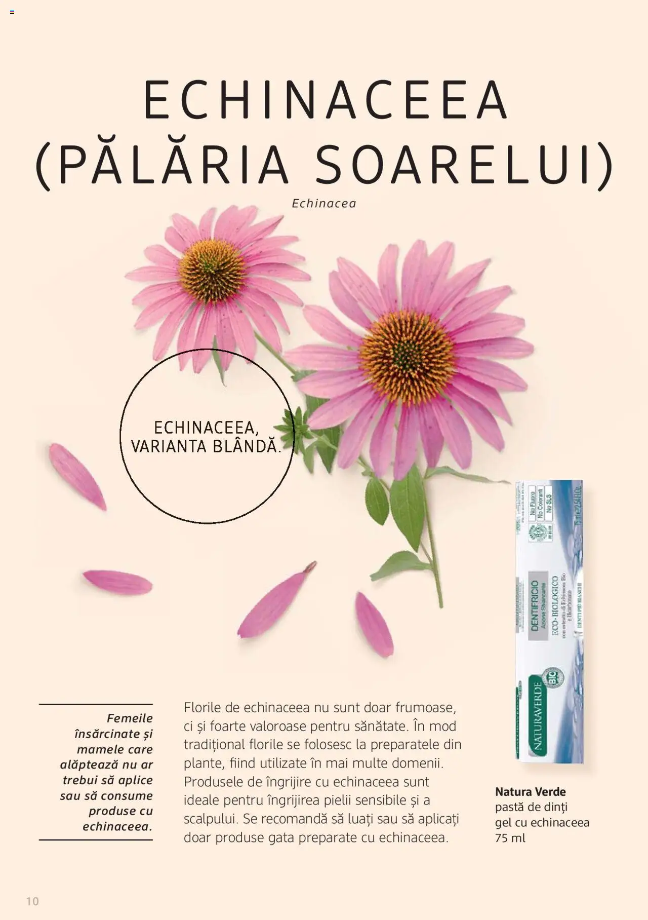 Noul catalog DM drogeriemarkt – valabil de la 01.01.2022 | Pagină: 10