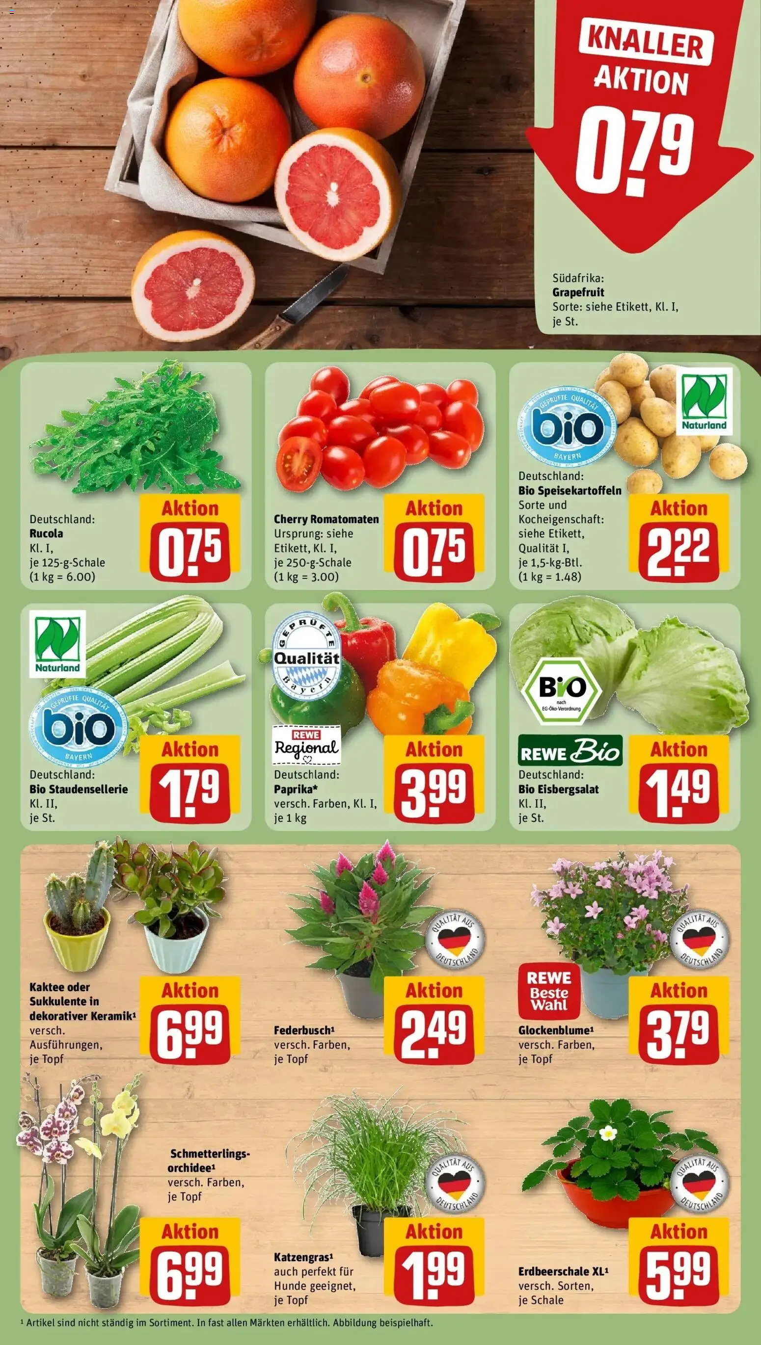 Rewe Prospekt Heroldsberg – gültig ab 27.07.2026 | Seite: 7 | Produkte: Orchidee, Rucola, Eisbergsalat, Grapefruit