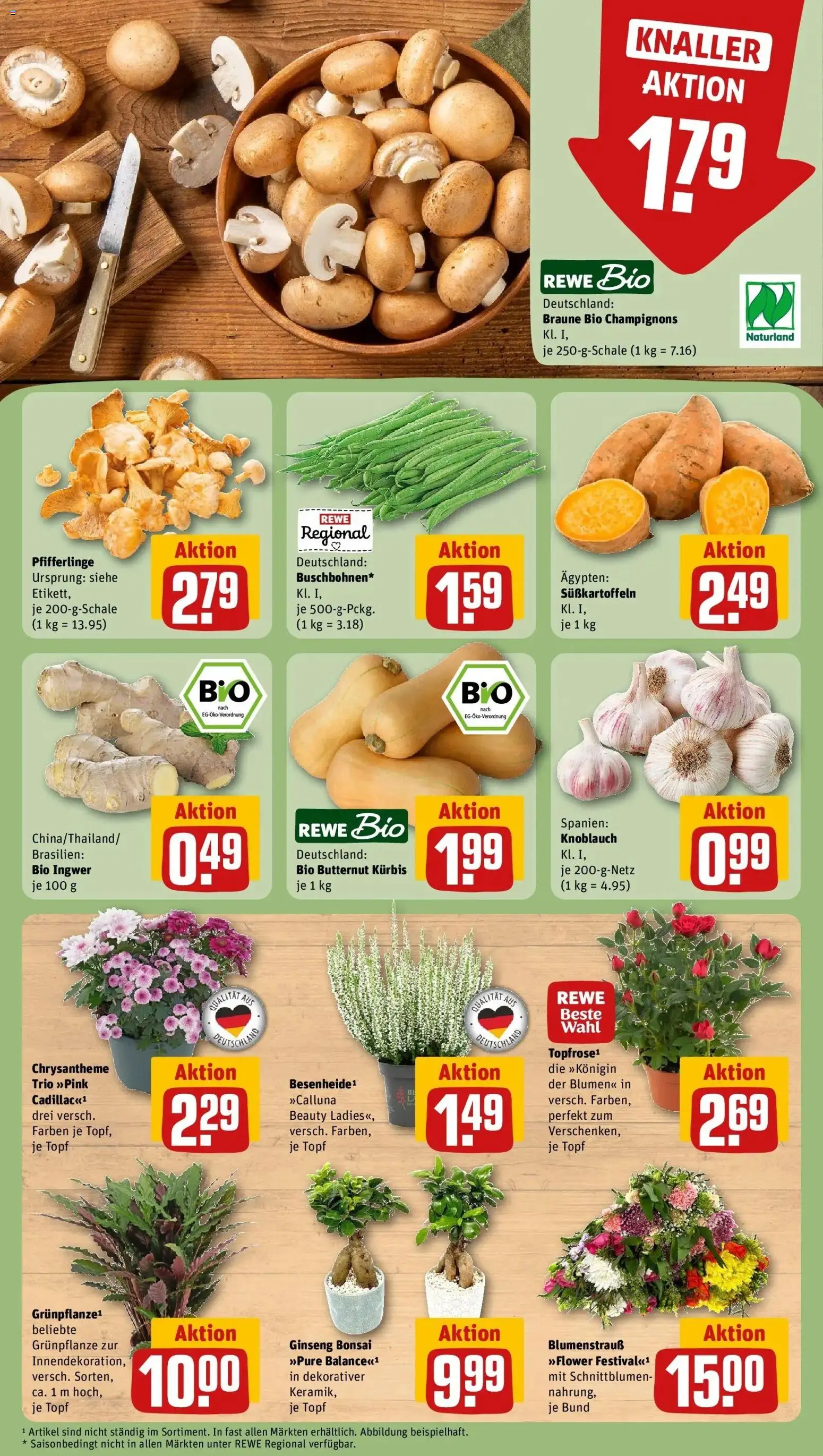 REWE Prospekt ab 31.08.2026 zum Blättern » Angebote | Seite: 7 | Produkte: Blumen, Champignons, Knoblauch, Pfifferlinge