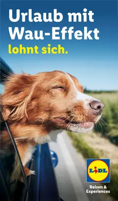 Lidl Reisen Hundeflyer ab 29.07.2026 gültig