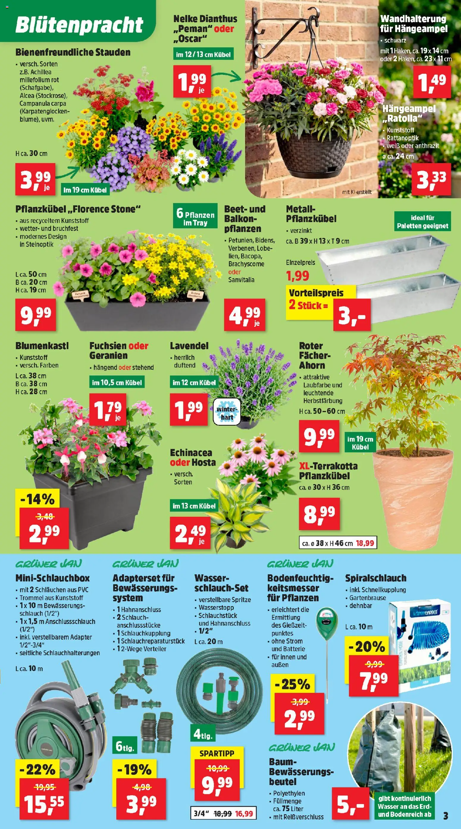 Thomas Philipps Flugblatt gültig ab 01.06.2026 | Seite: 3