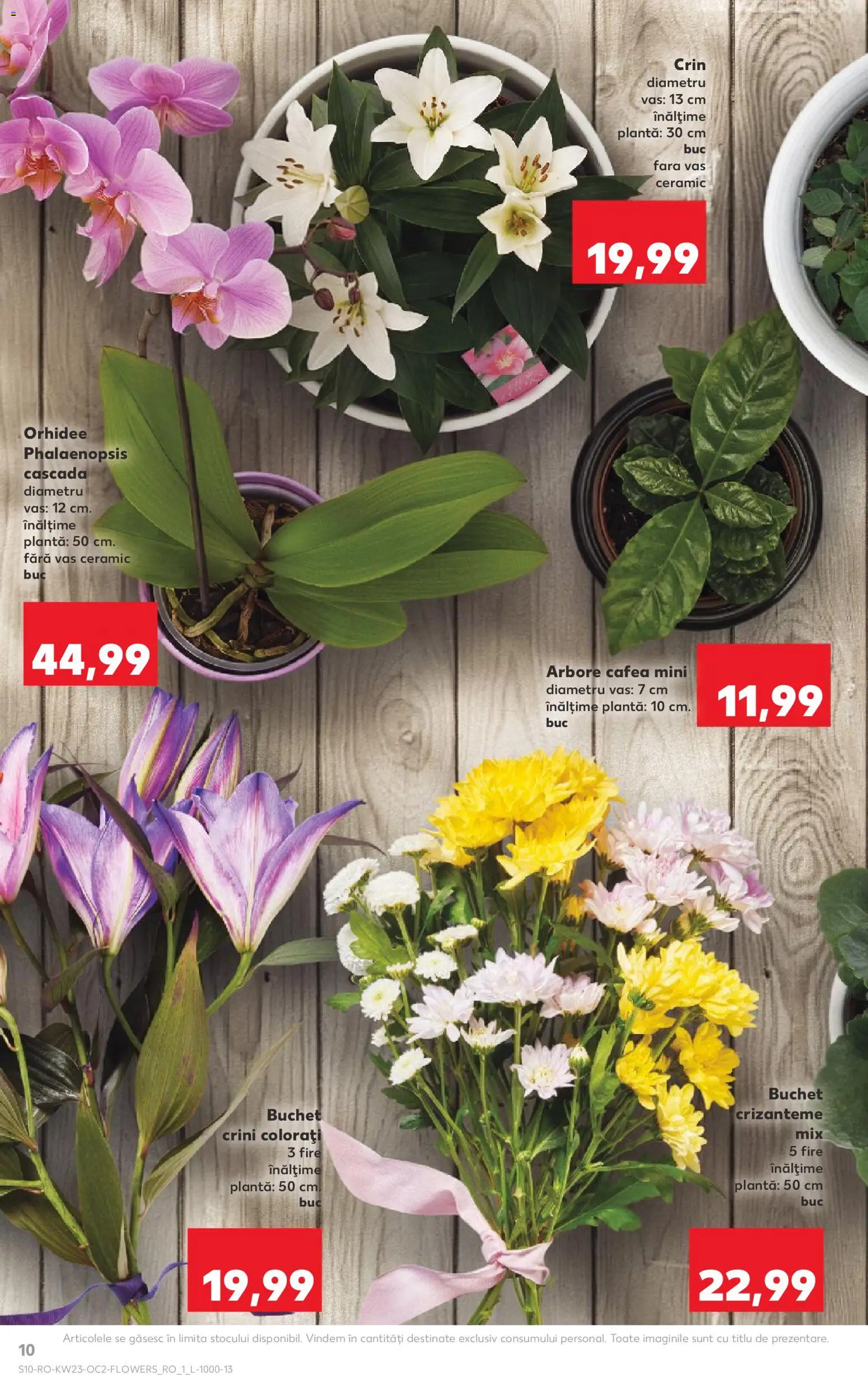 Noul catalog Kaufland – valabil de la 03.06.2026 | Pagină: 10 | Produse: Orhidee, Cafea