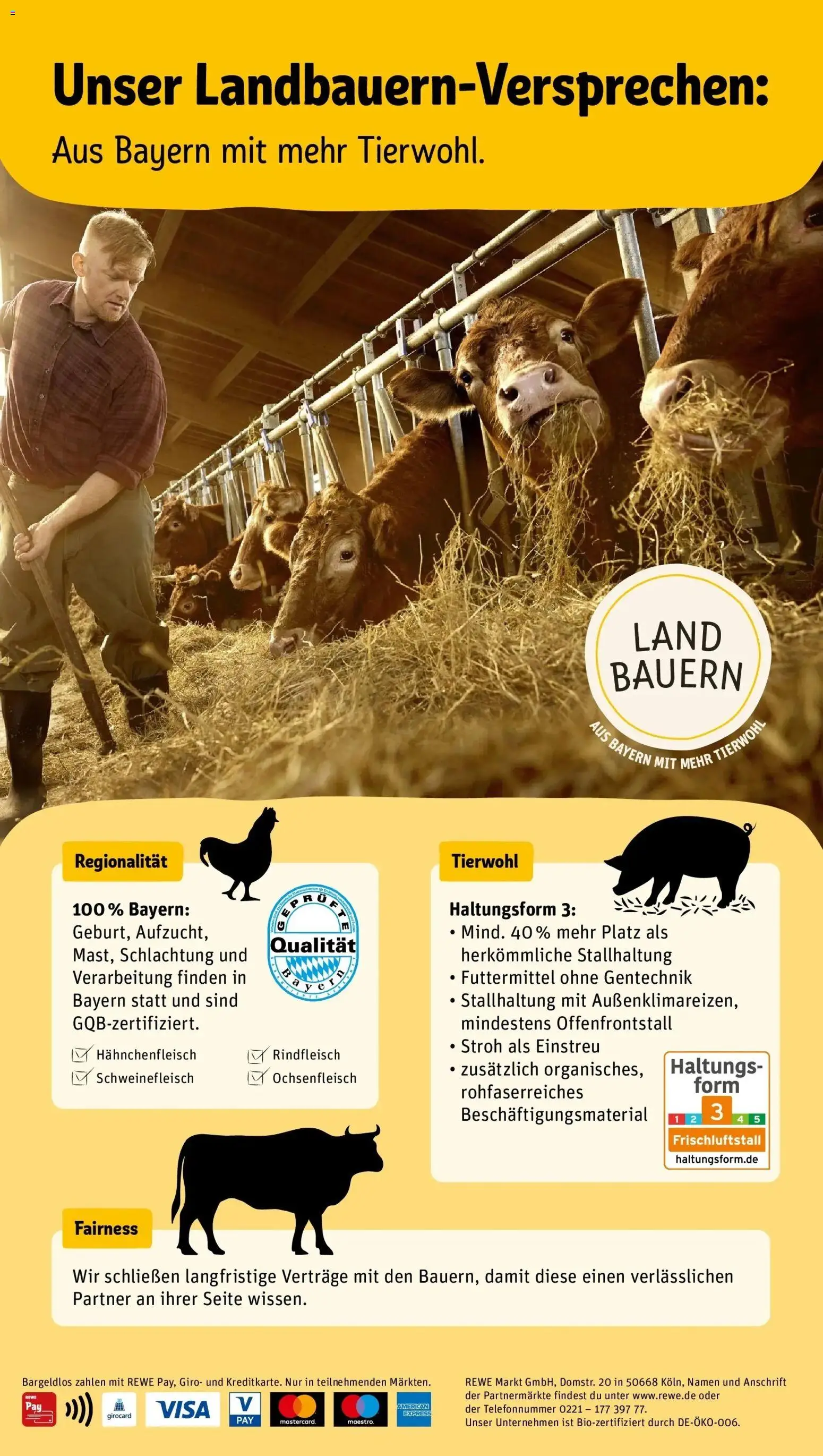 REWE Prospekt ab 24.08.2026 zum Blättern » Angebote | Seite: 2 | Produkte: Schweinefleisch, Rindfleisch