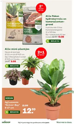 Welkoop folder - Voorbeeld van een folder van Welkoop, geldig van 05-10-2026 | Pagina: 27 | Producten: Potgrond, Kamerplanten
