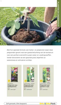 Brico - Tuincatalogus - Voorbeeld van een folder van Brico, geldig van 10.03.2026 | Pagina: 158 | Producten: Kamerplanten, Pot