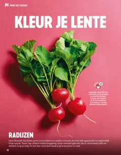 Delhaize folder  - Voorbeeld van een folder van Delhaize, geldig van 02.04.2026 | Pagina: 14 | Producten: Salades, Vitamine C
