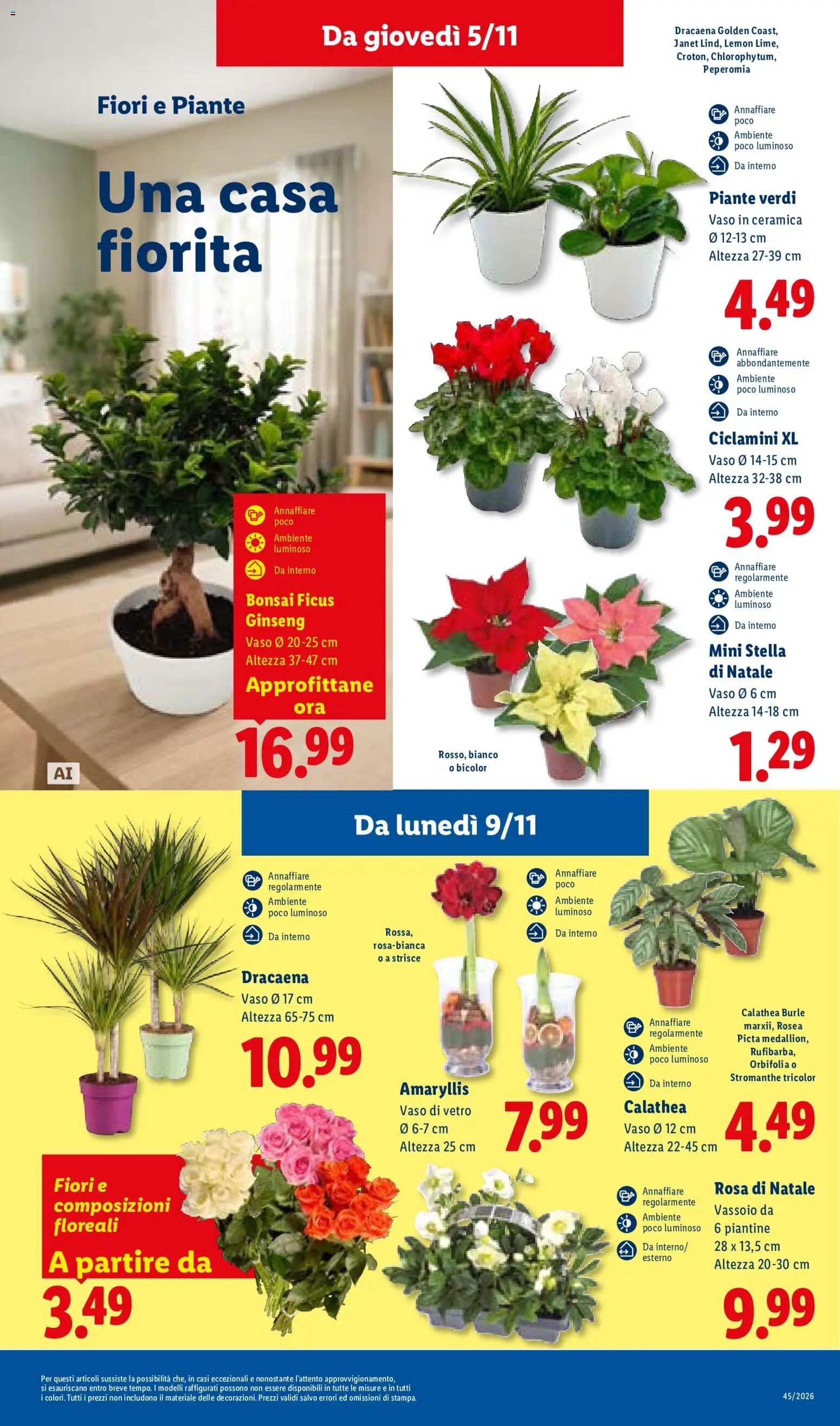 Volantino Lidl del 02/11/2026 | Pagina: 43