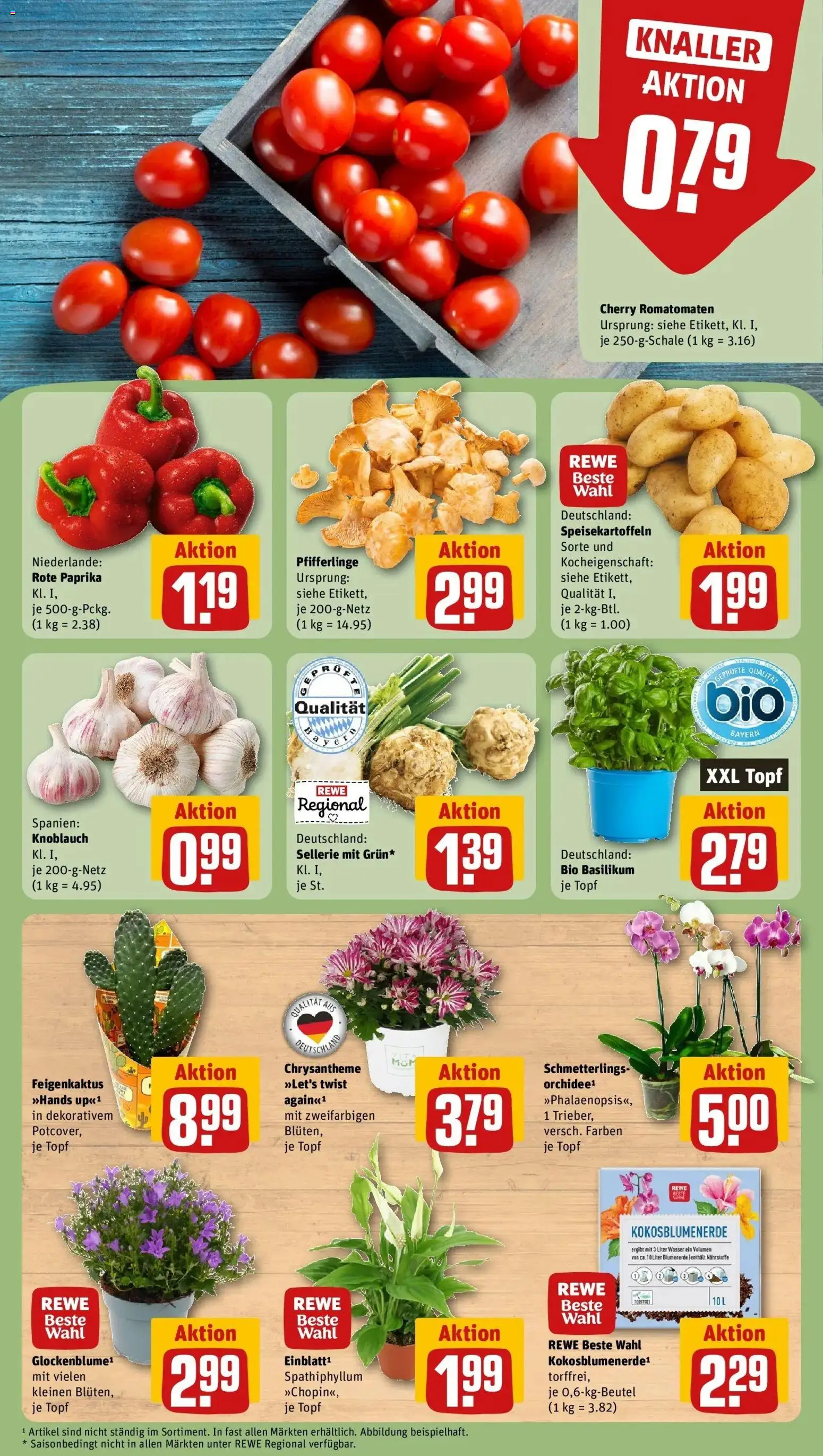 REWE Prospekt ab 10.08.2026 zum Blättern » Angebote | Seite: 5 | Produkte: Blumenerde, Wasser, Knoblauch, Rote Paprika