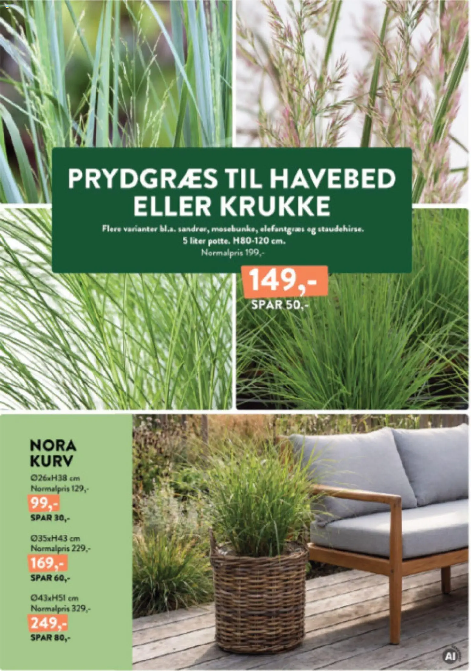 Plantorama tilbudsavis – gyldig fra 14/08/2026 | Side: 5 | Produkter: Kurv, Krukke