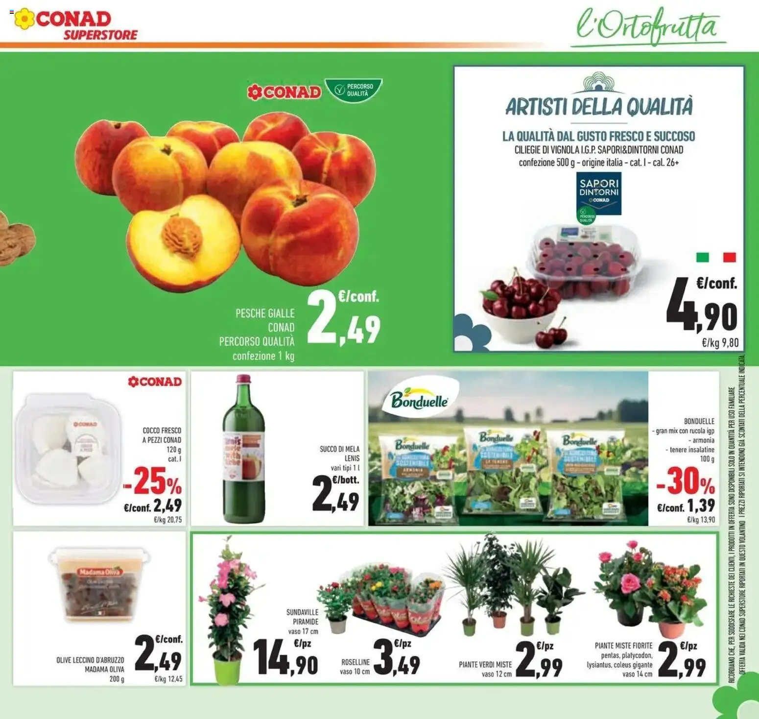 Volantino Conad del 04/06/2026 | Pagina: 13 | Prodotti: Succo, Olive, Cocco, Vaso