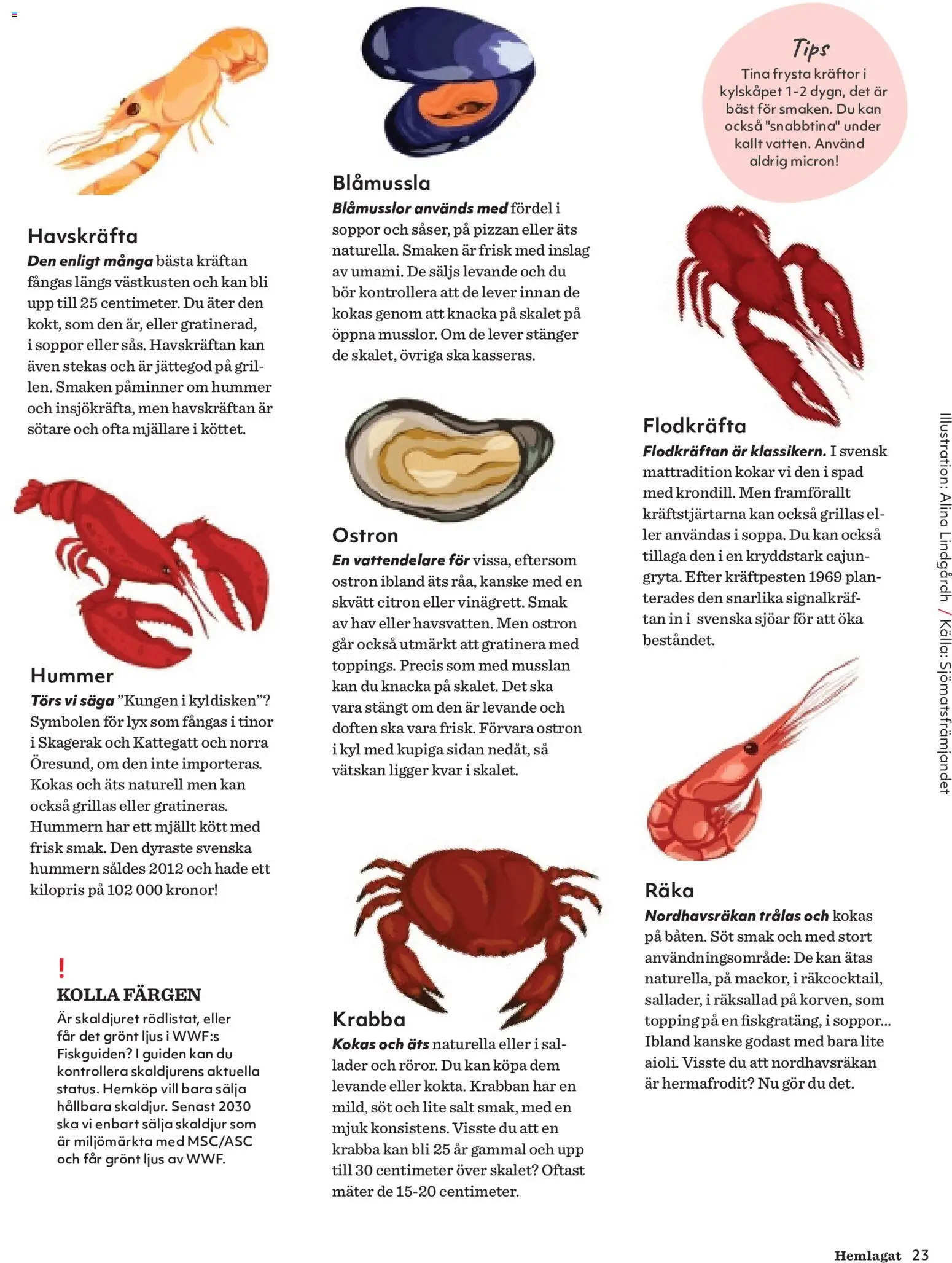 Hemköp reklamblad aktuell från 30/09/2026 | Sida: 23 | Produkter: Salt, Soppor, Kött, Citron