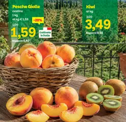 Anteprima del volantino Prix volantino valido a partire dal 28/07/2026 | Pagina: 9 | Prodotti: Kiwi, Cestino