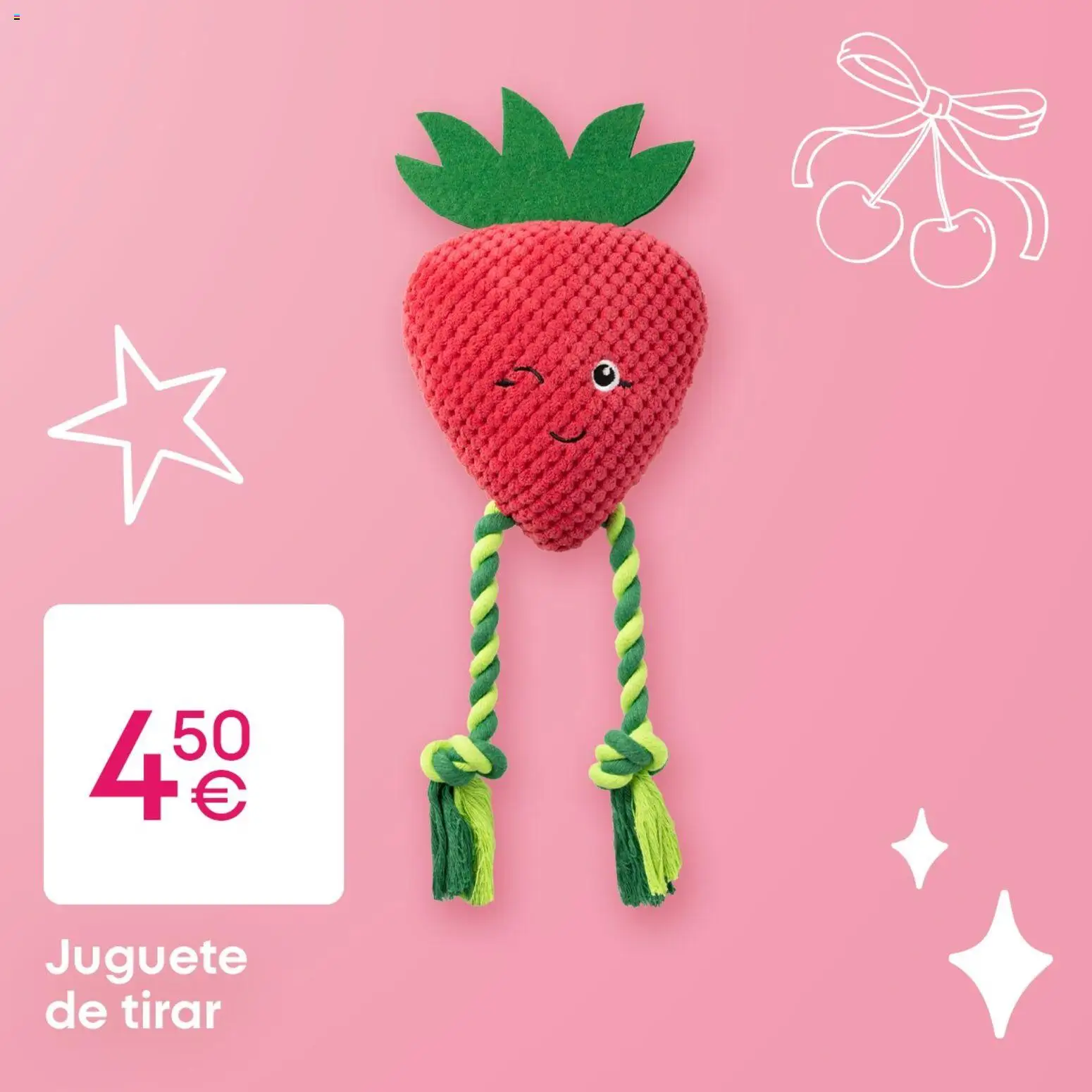 Pepco folleto │ válido desde el 30.04.2026 | Página: 2