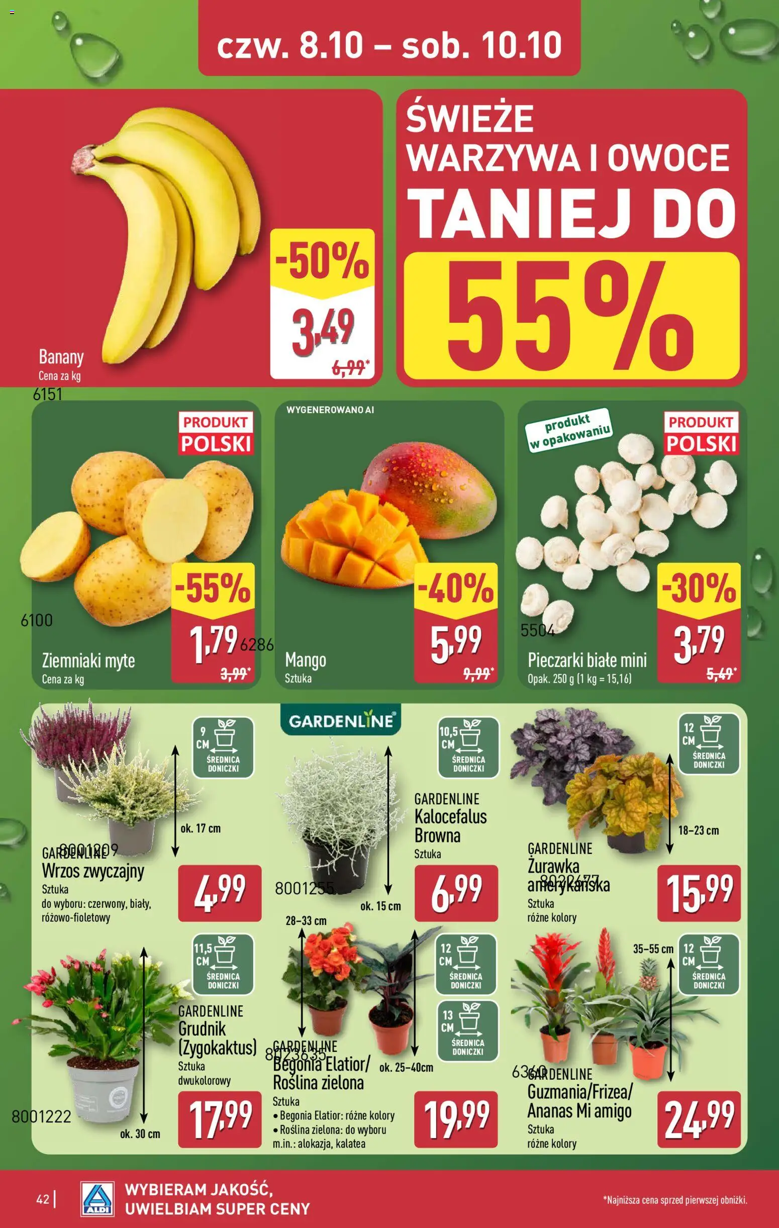 Aldi Polsko leták od 05.10.2026 | Strana: 42