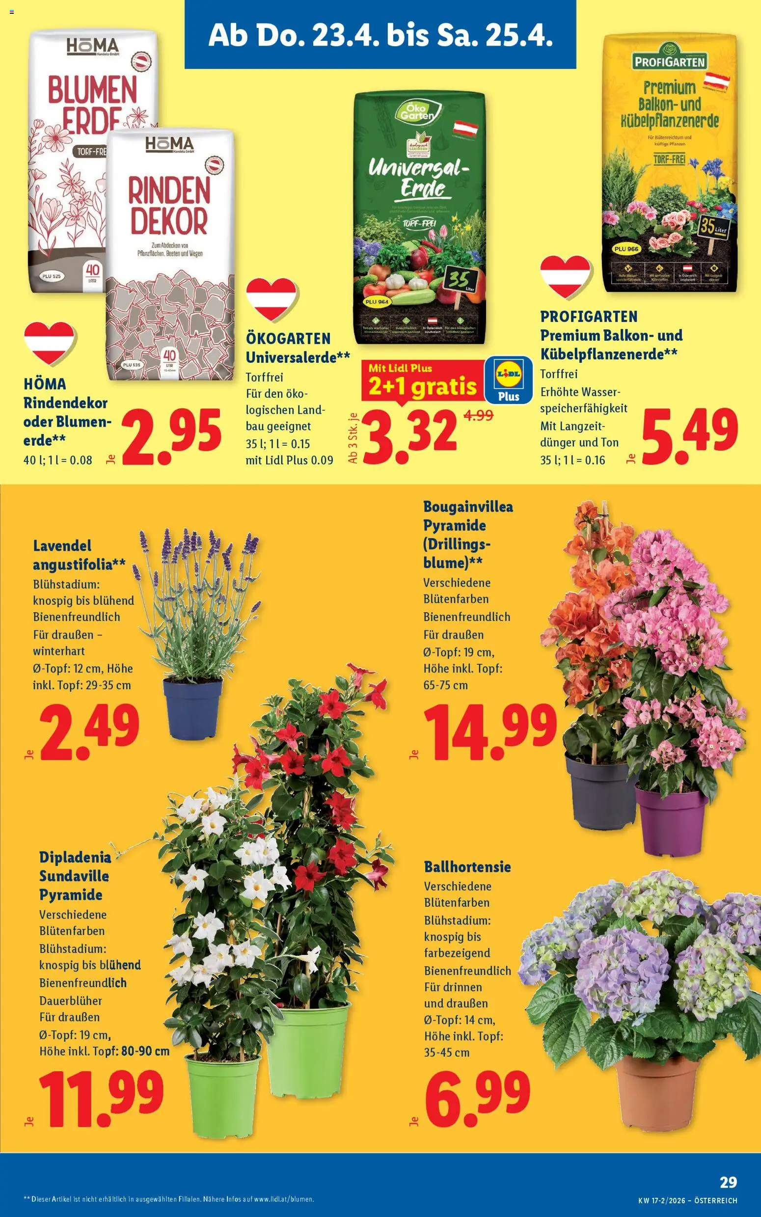 Lidl Flugblatt - Oberpullendorf, Güssing, Oberwart gültig ab 23.04.2026 | Seite: 31 | Produkte: Wasser