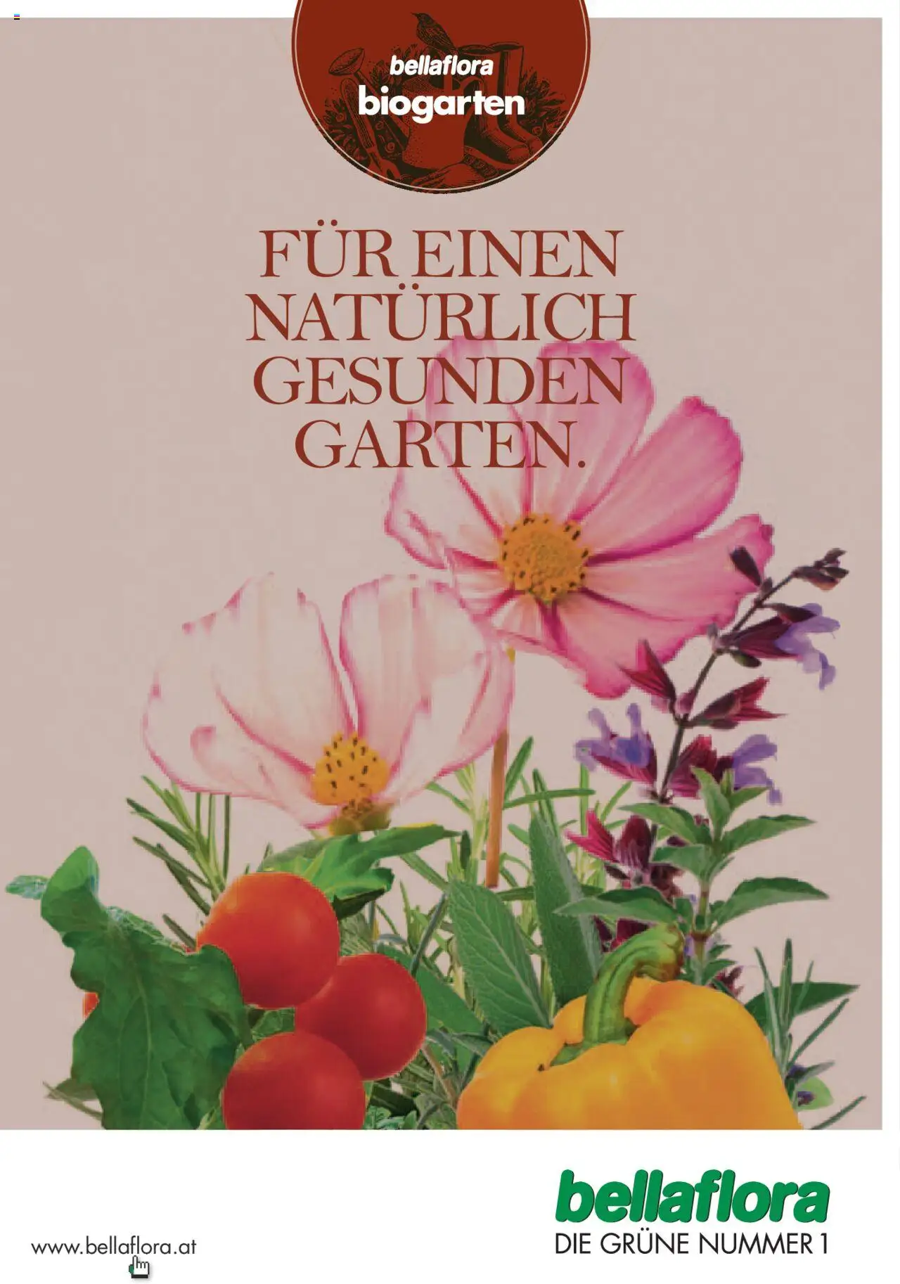 bellaflora Flugblatt gültig ab 24.06.2022 | Seite: 1