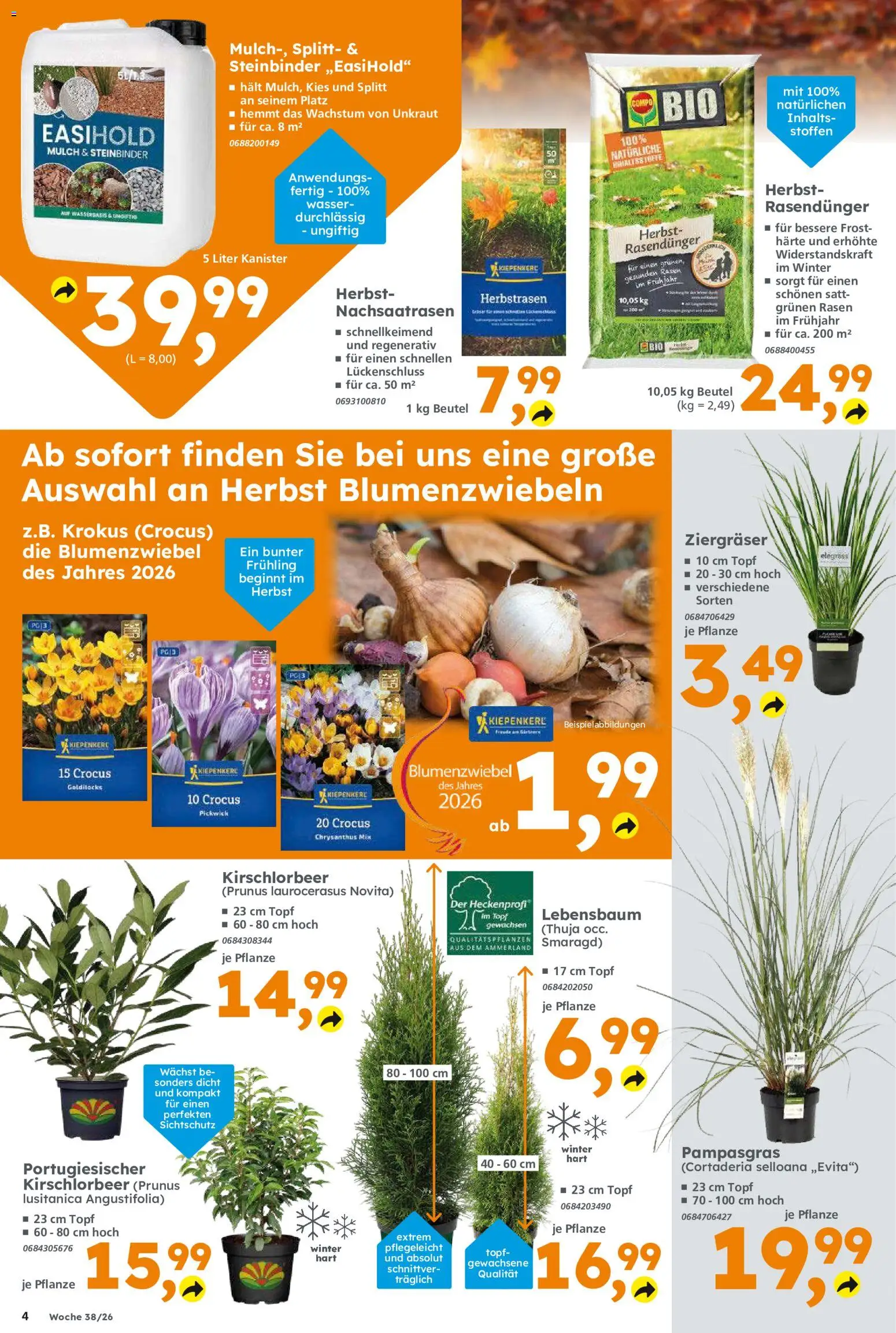 Globus Baumarkt Prospekt – gültig ab 14.09.2026 | Seite: 4