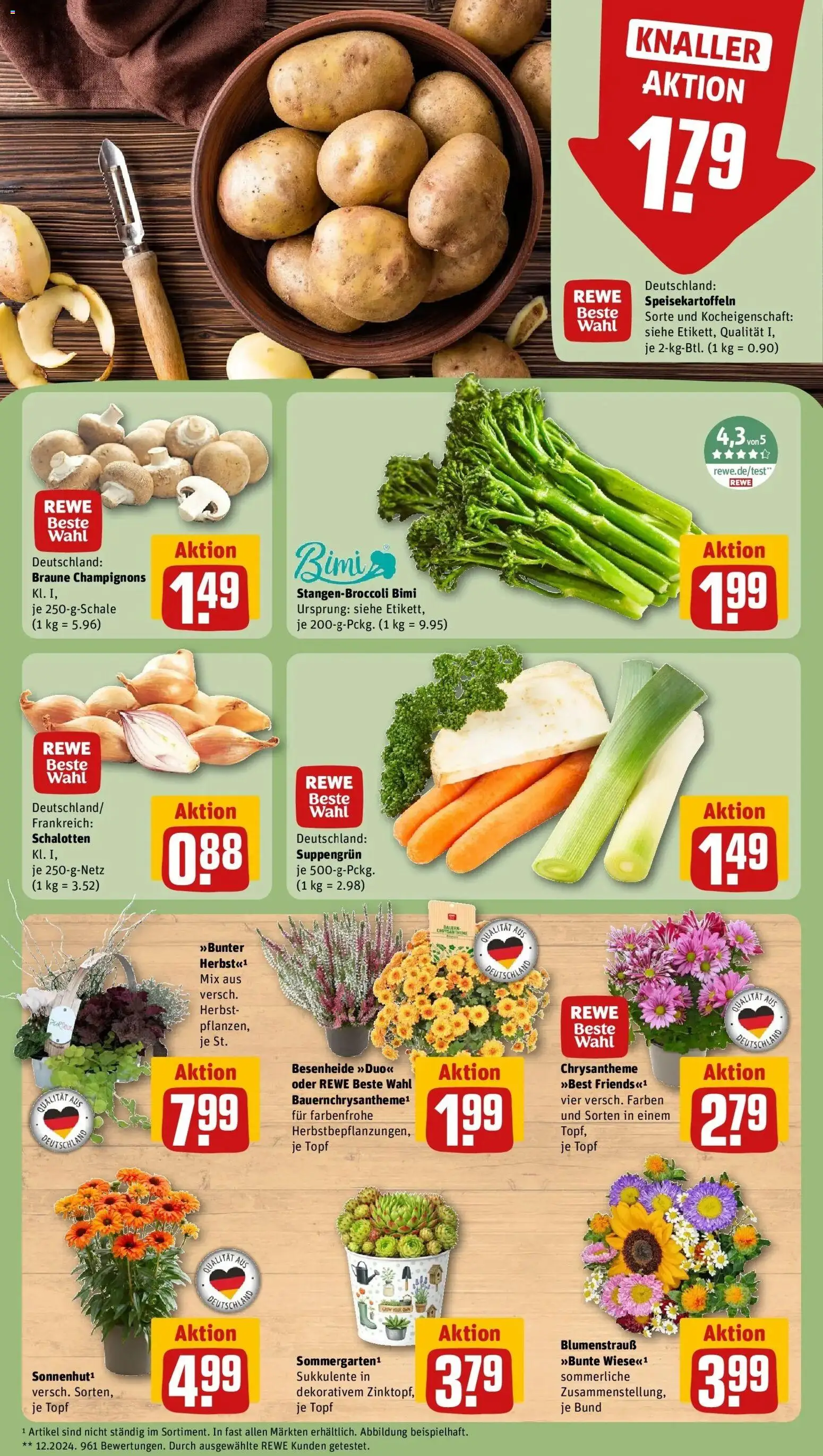 REWE Prospekt ab 07.09.2026 zum Blättern » Angebote | Seite: 7 | Produkte: Champignons
