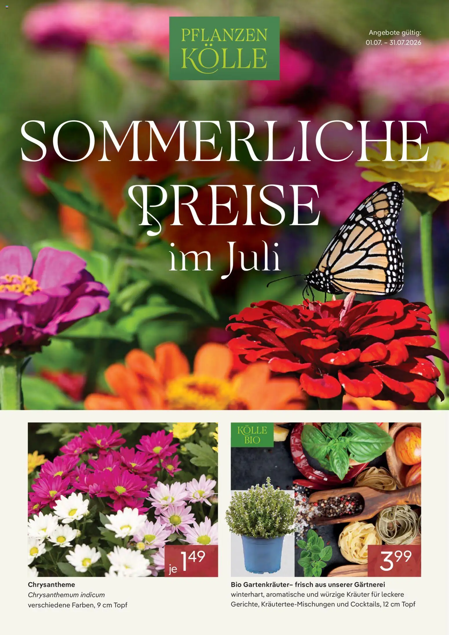 Pflanzen-Kölle Onlineflyer Juli – gültig ab 01.07.2026 | Seite: 1