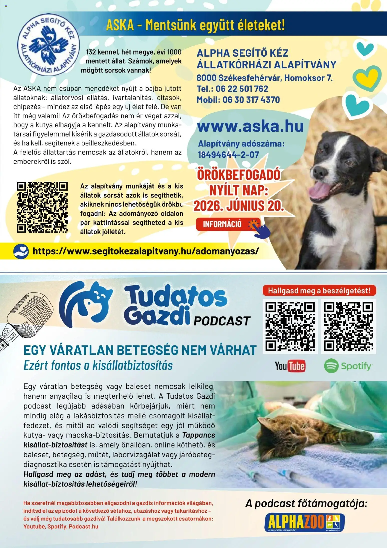 AlphaZoo akciós ujság - amely érvényes a következő dátumtól: 15.06.2026 | Oldal: 27
