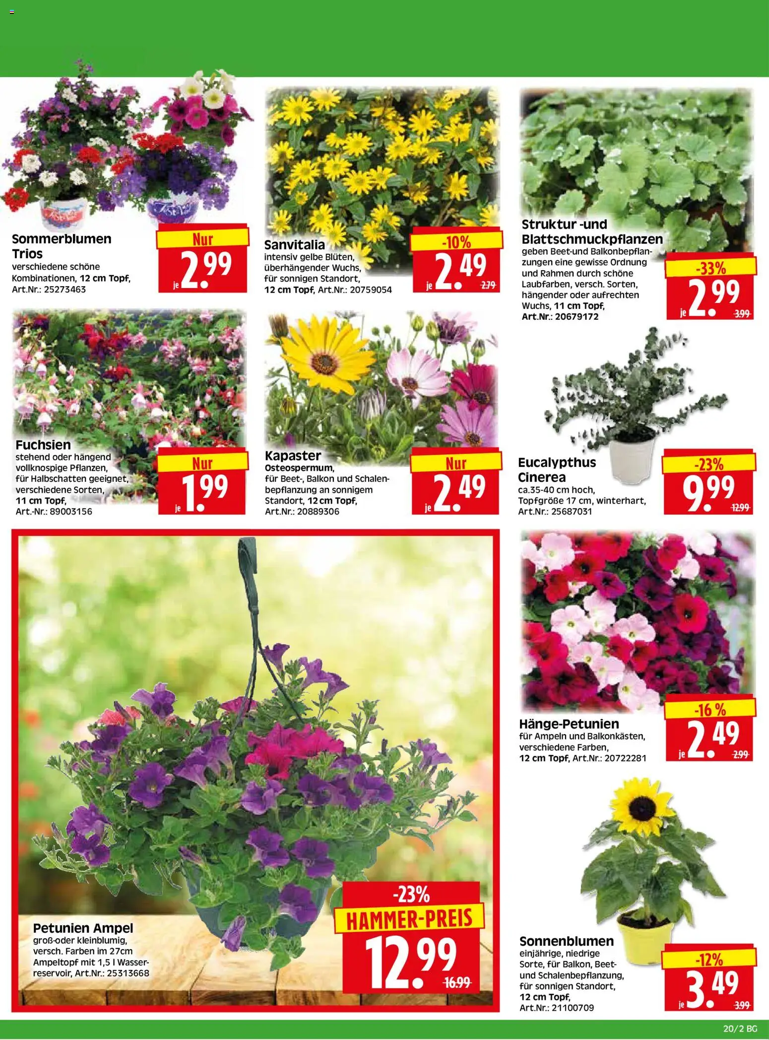 HERKULES Bau & Garten – gültig ab 11.05.2026 | Seite: 2 | Produkte: Wasser